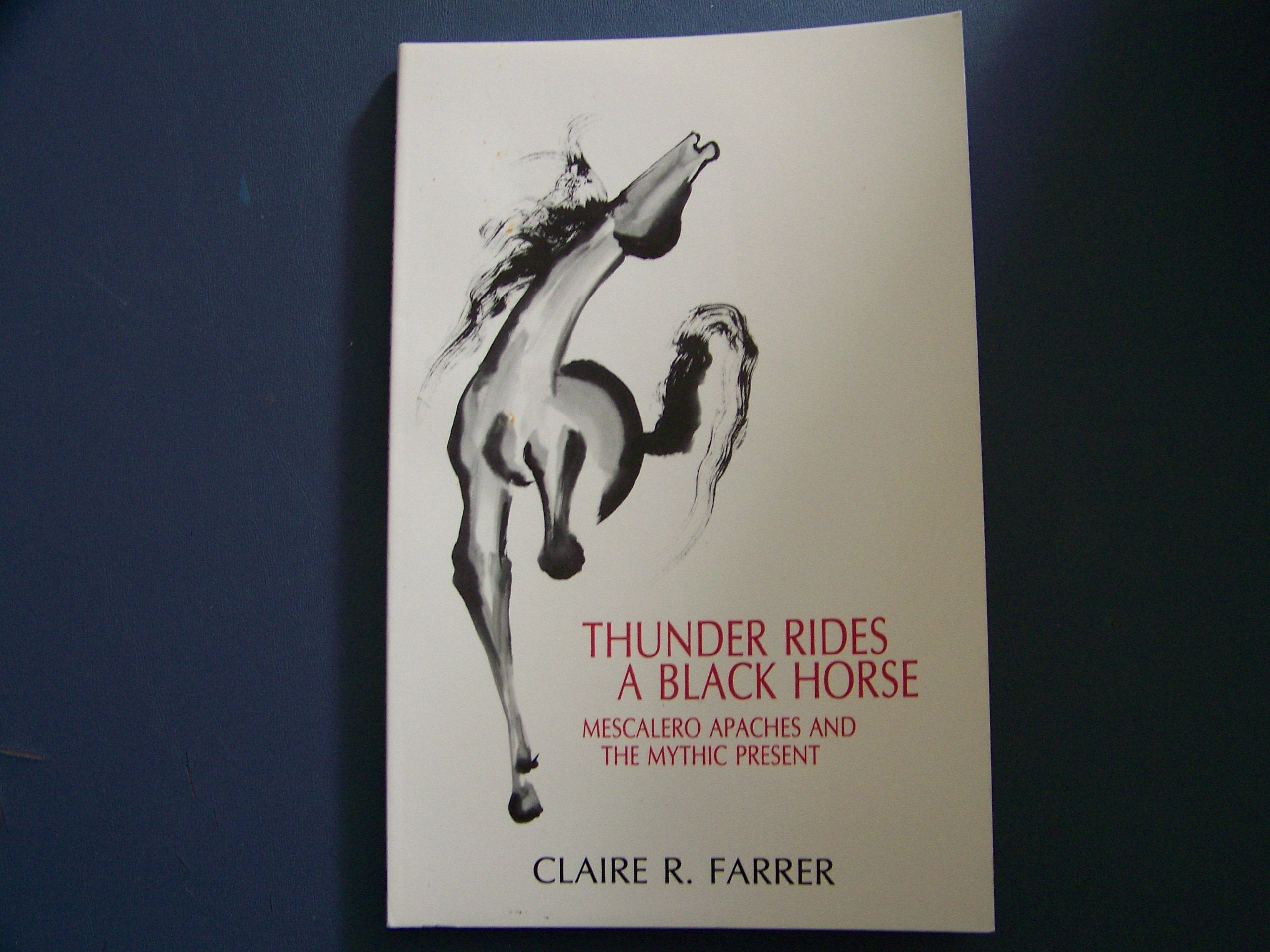 Thunder Rides a Black Horse: Mescalero Apaches and the Mythic Present,Used