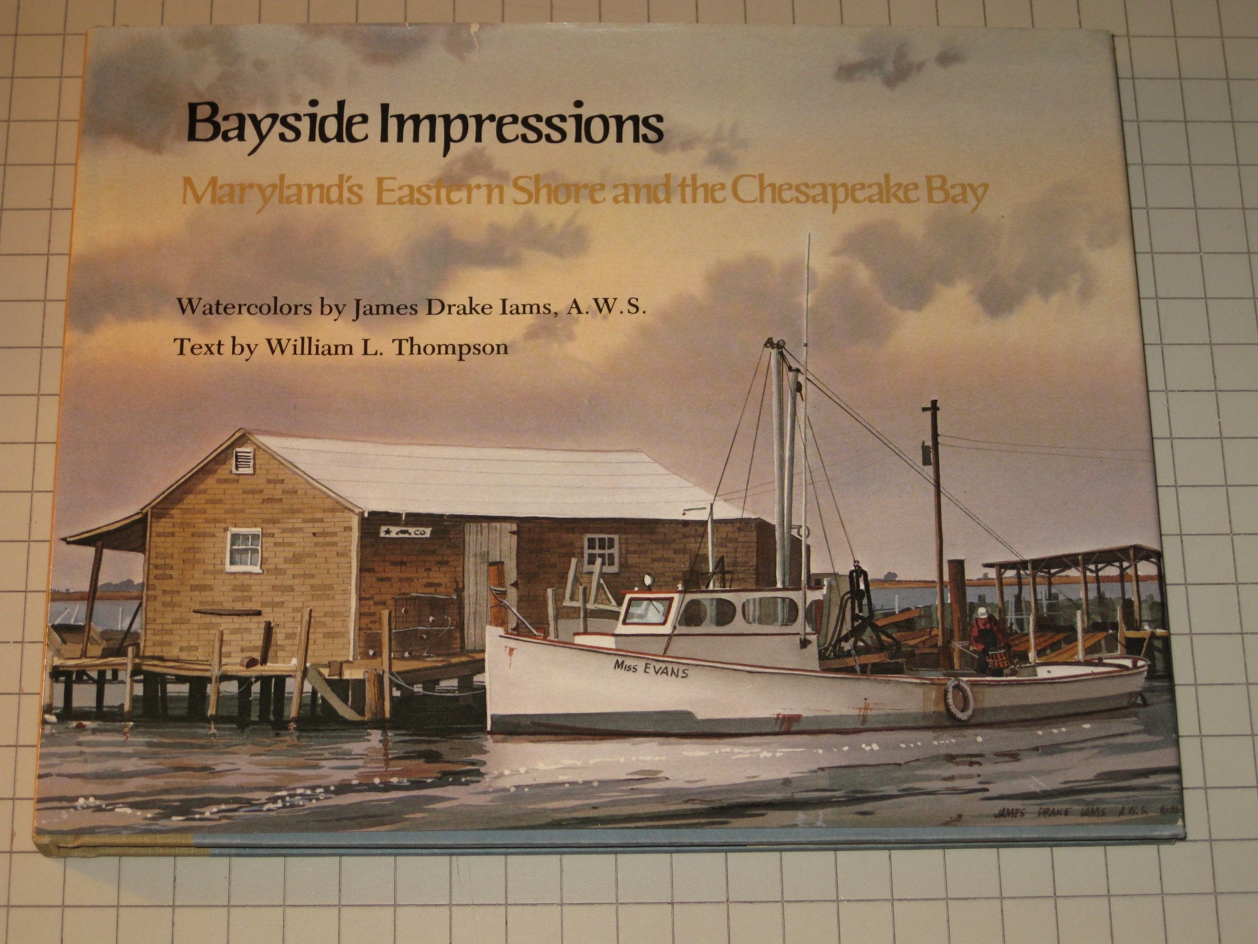 Bayside Impressions: Maryland's Eastern Shore and the Chesapeake Bay,Used