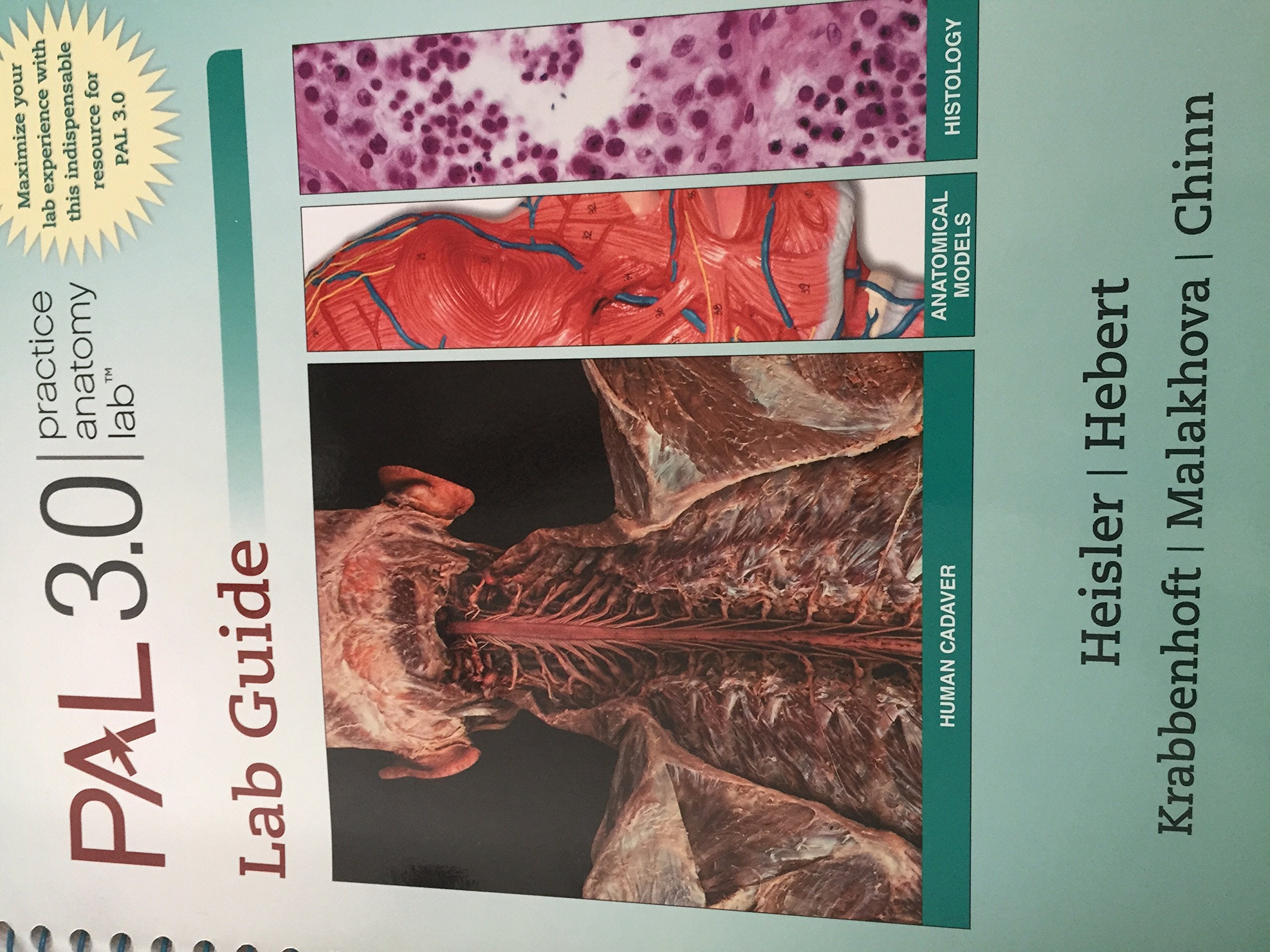 Practice Anatomy Lab 3.1 Lab Guide,Used