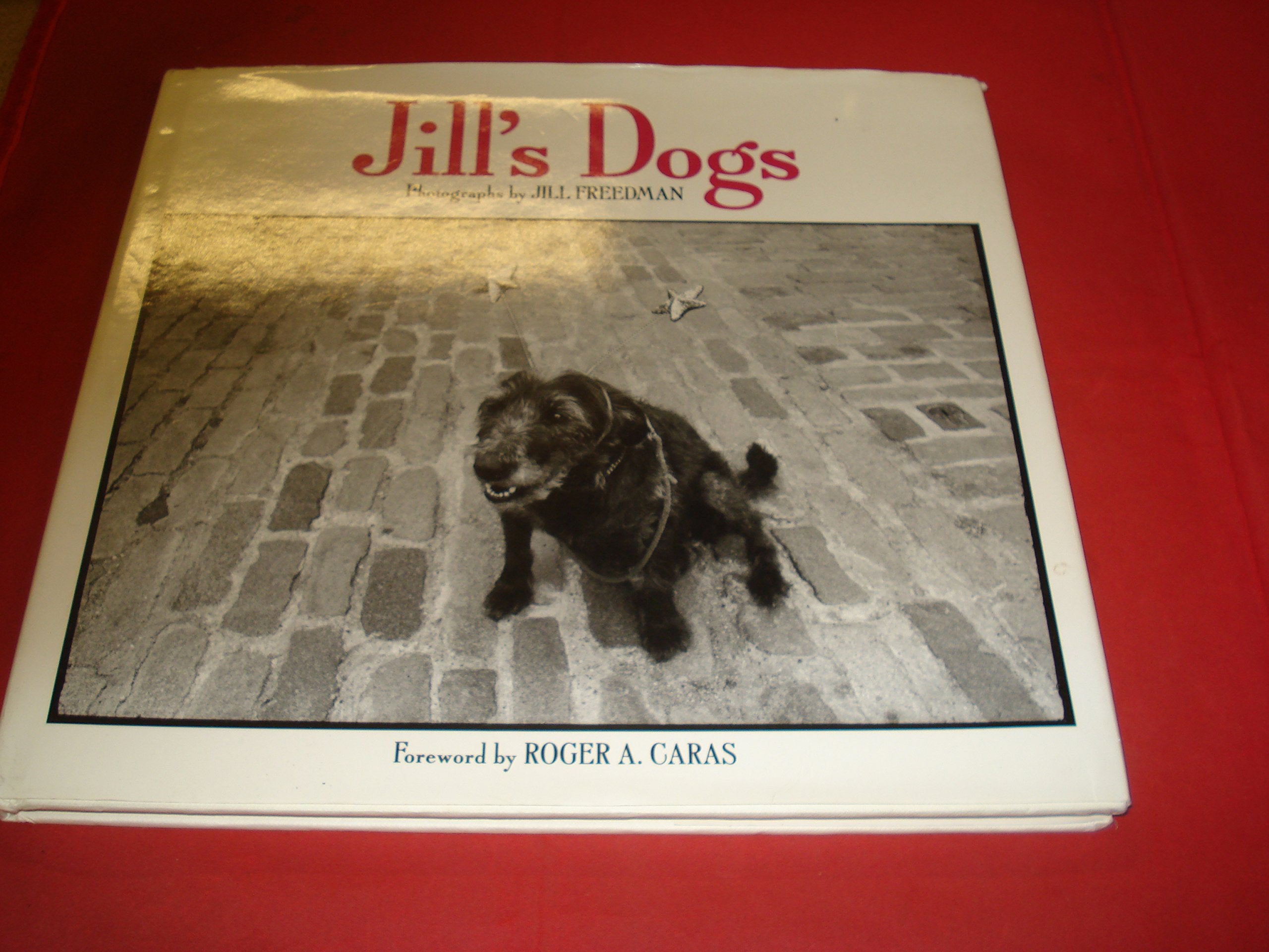 Jill's Dogs,Used
