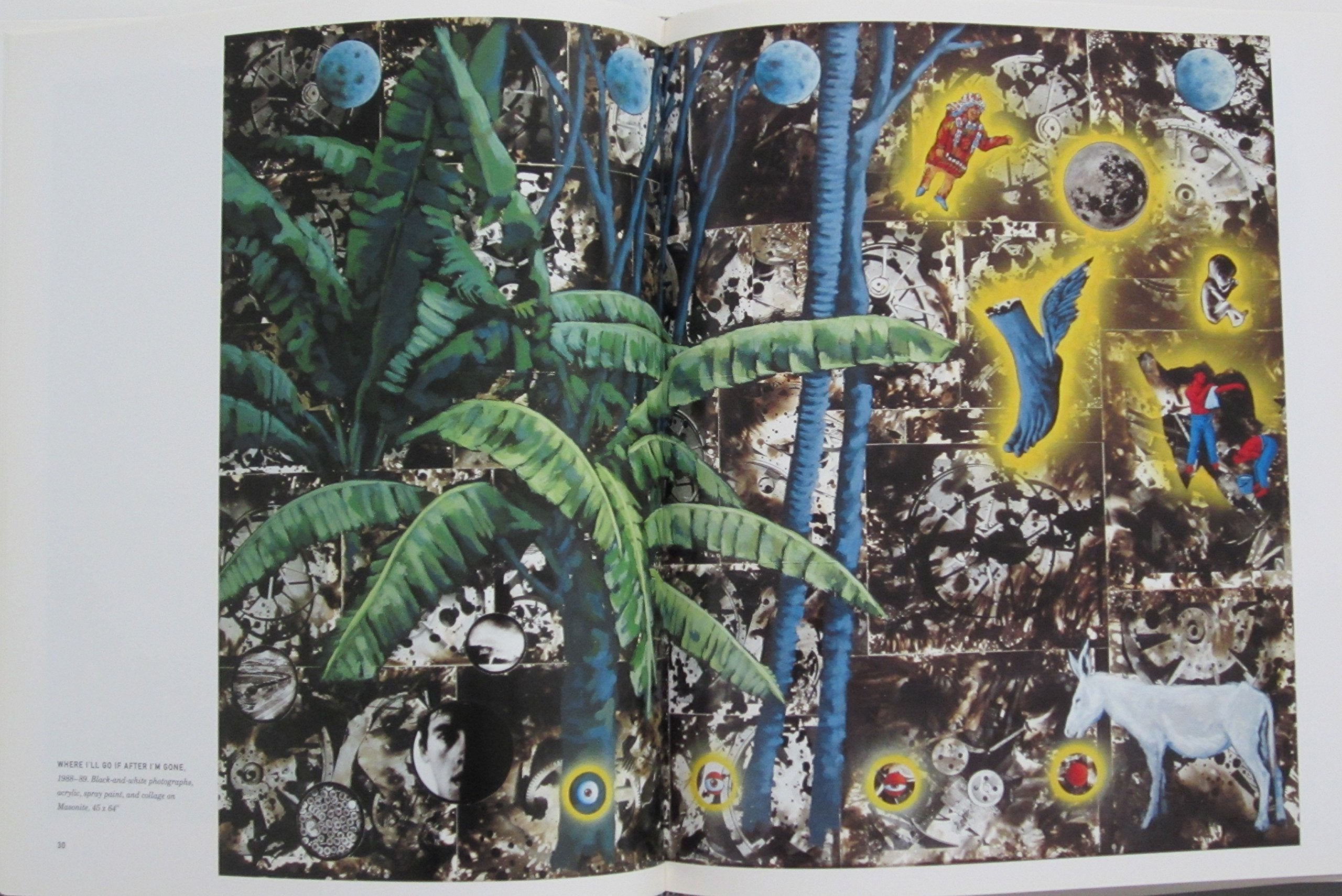 David Wojnarowicz: Brush Fires in the Social Landscape,Used