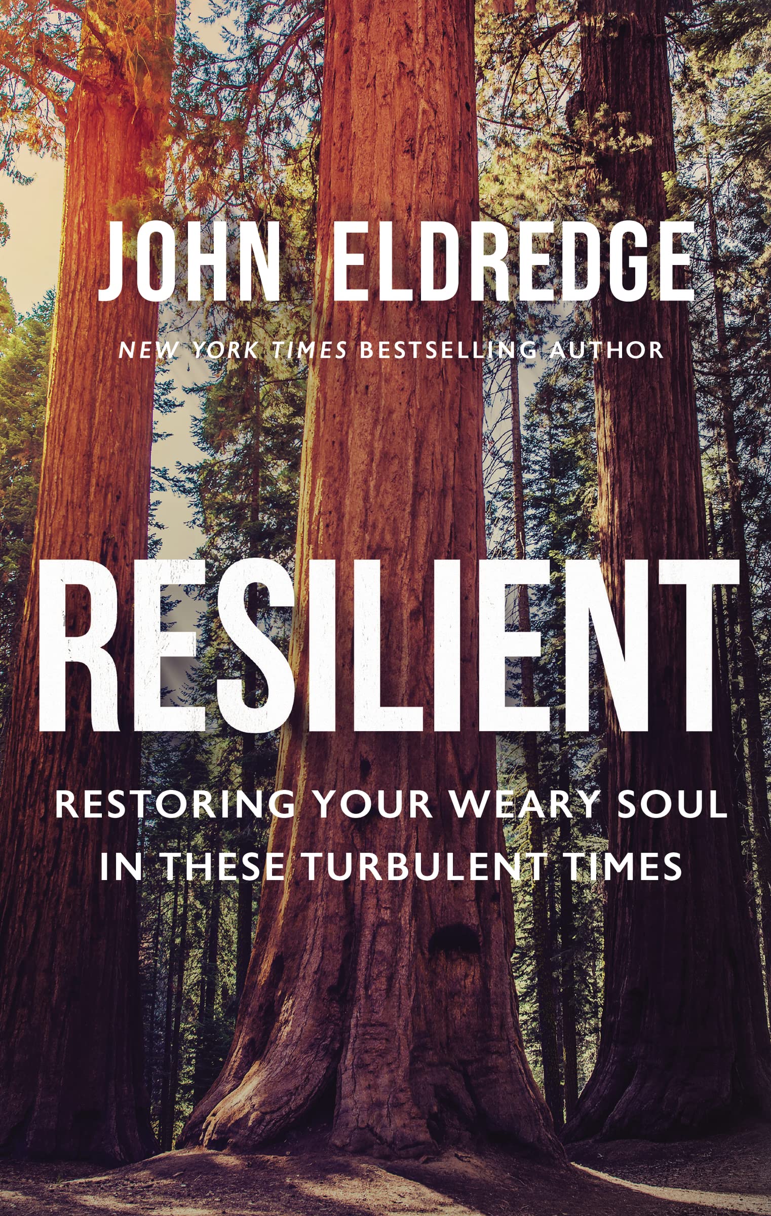 Resilient: Restoring Your Weary Soul in These Turbulent Times,Used