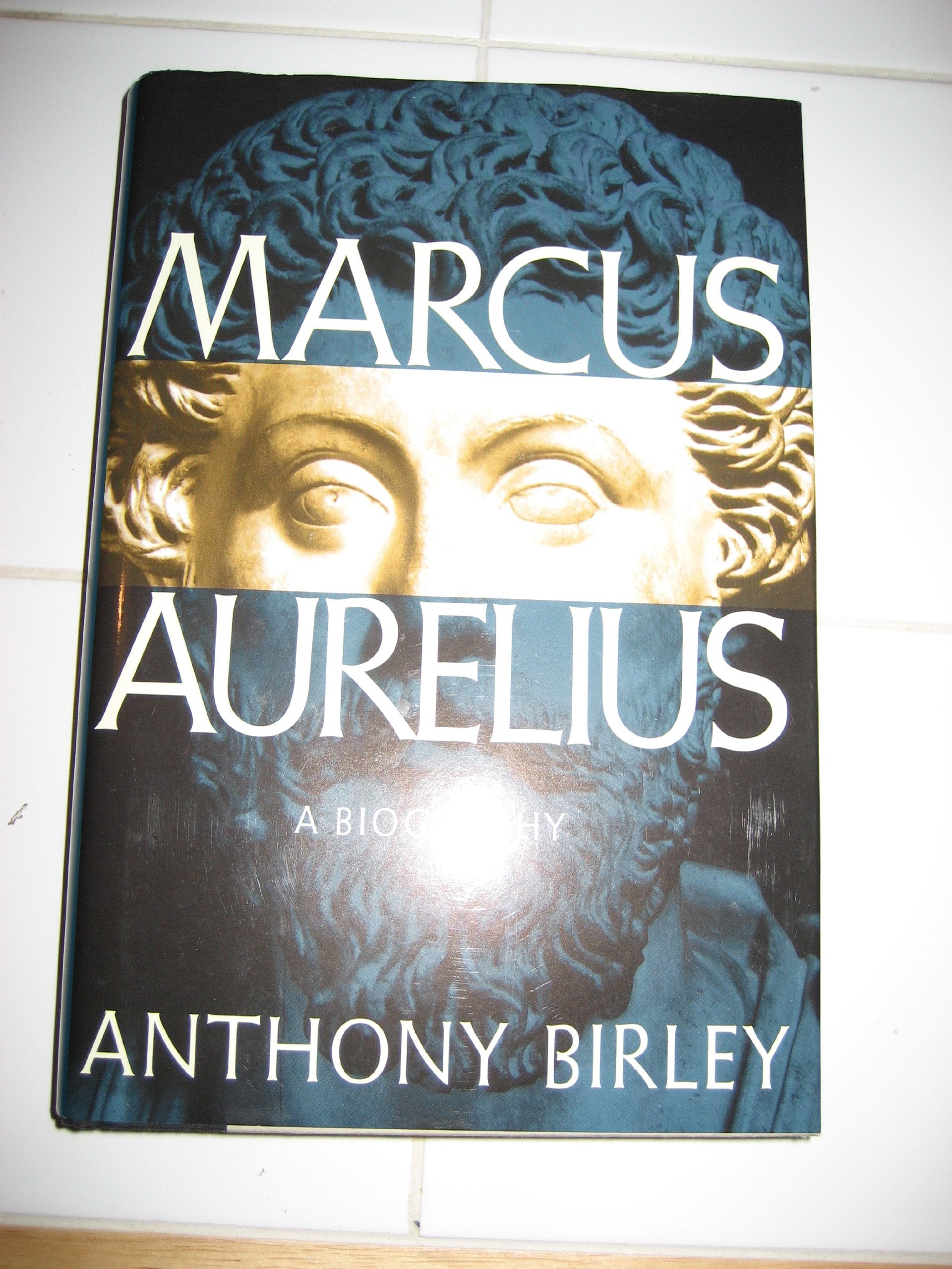 Marcus Aurelius: A Biography