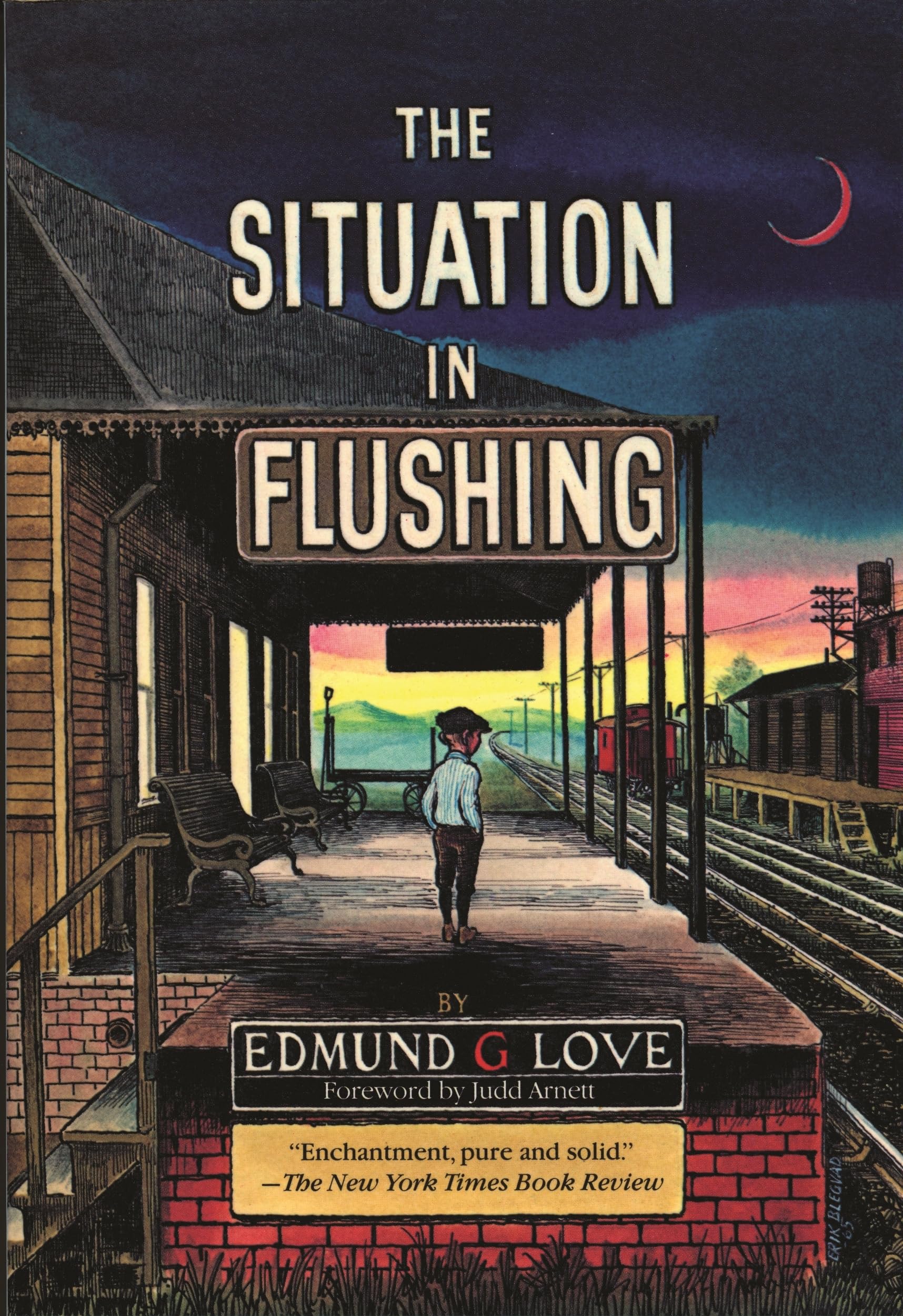 The Situation in Flushing (Great Lakes Books),Used