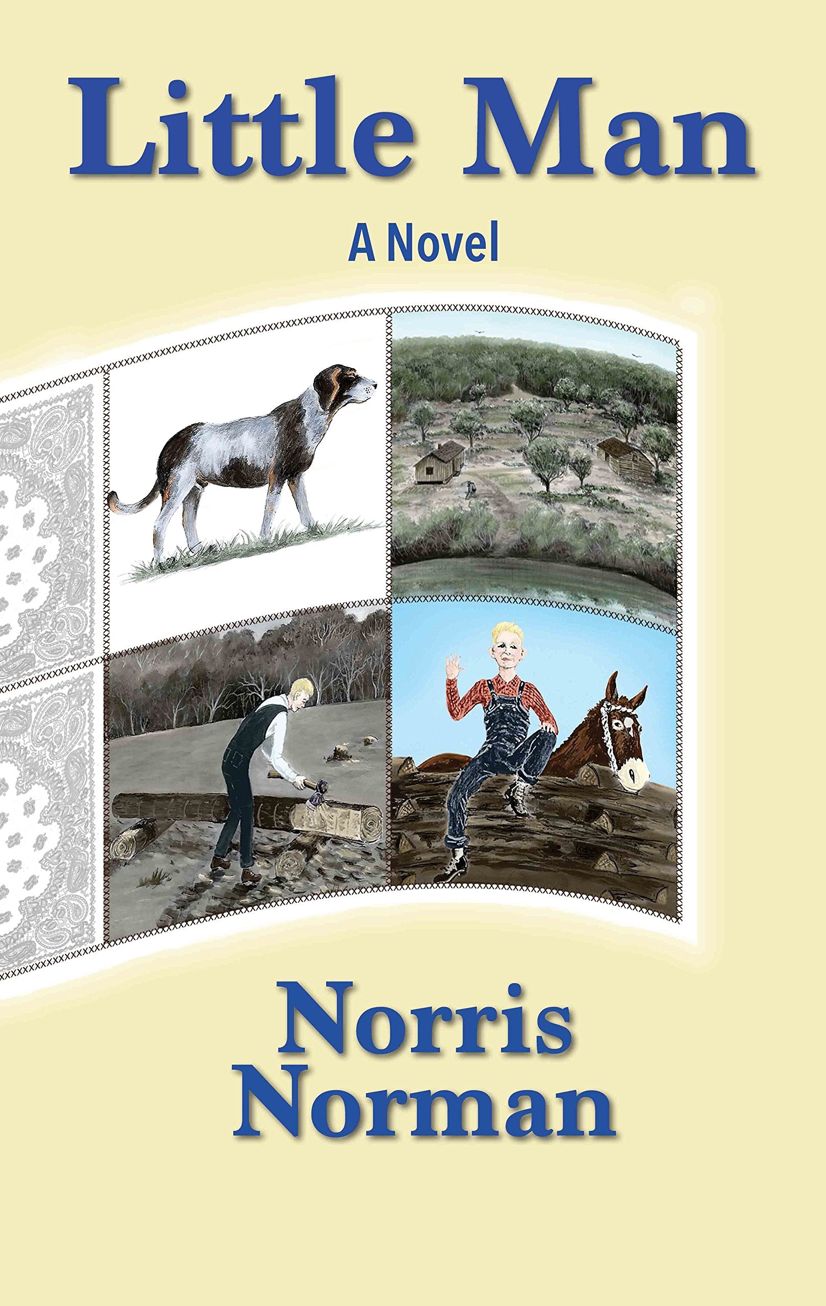 Little Man: A Novel,Used