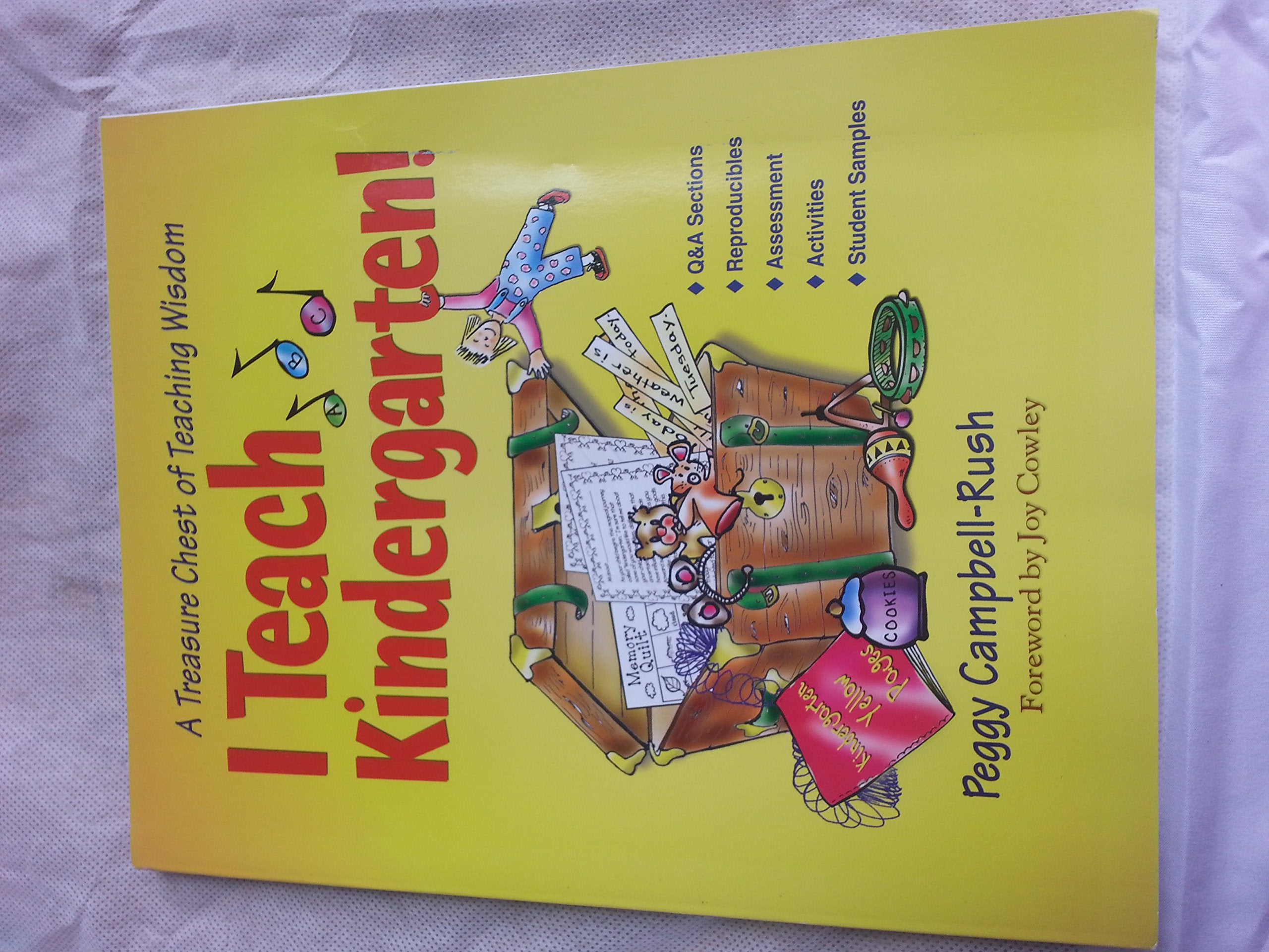 I Teach Kindergarten!,Used