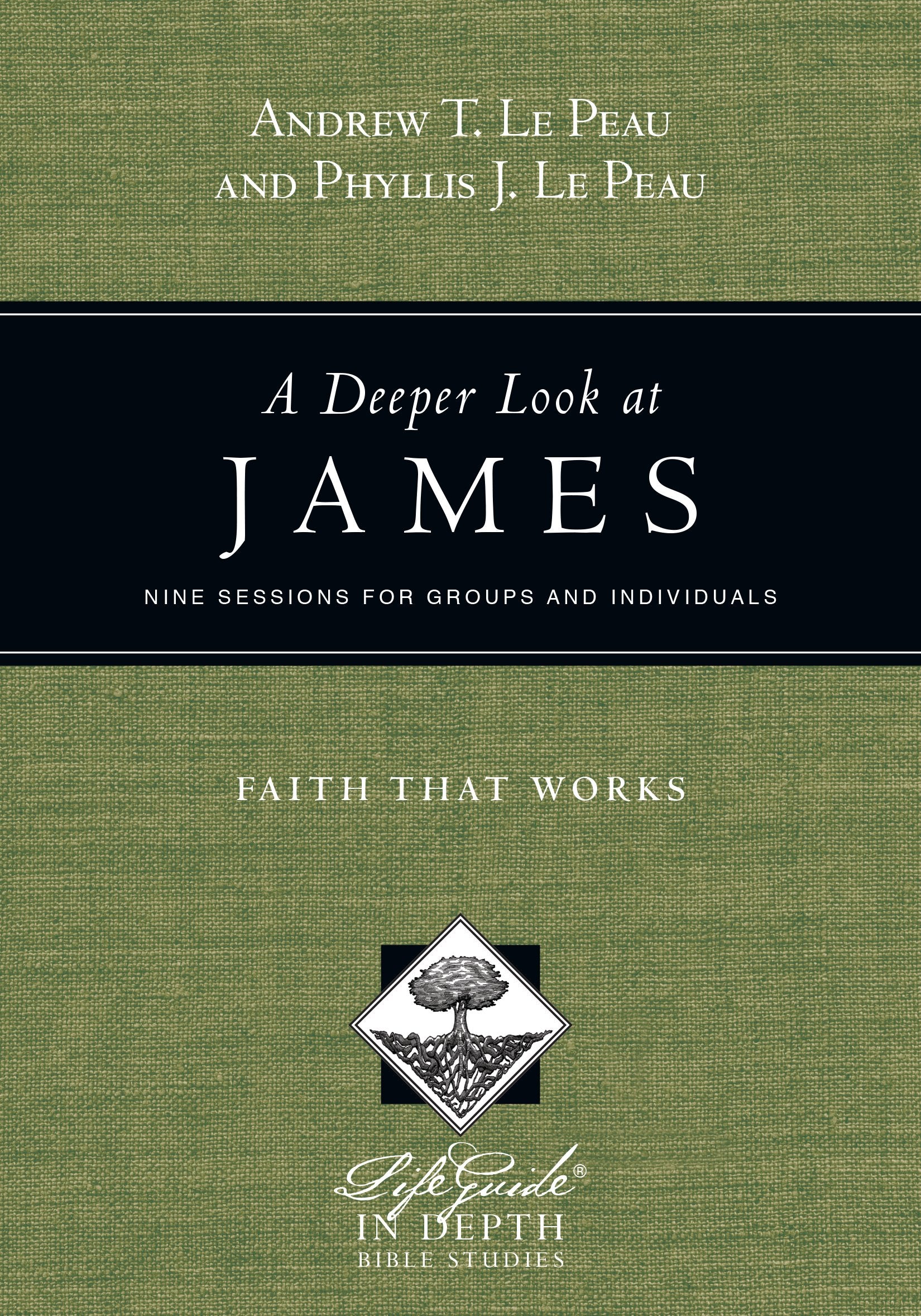A Deeper Look at James: Faith That Works (LifeGuide in Depth Series),Used