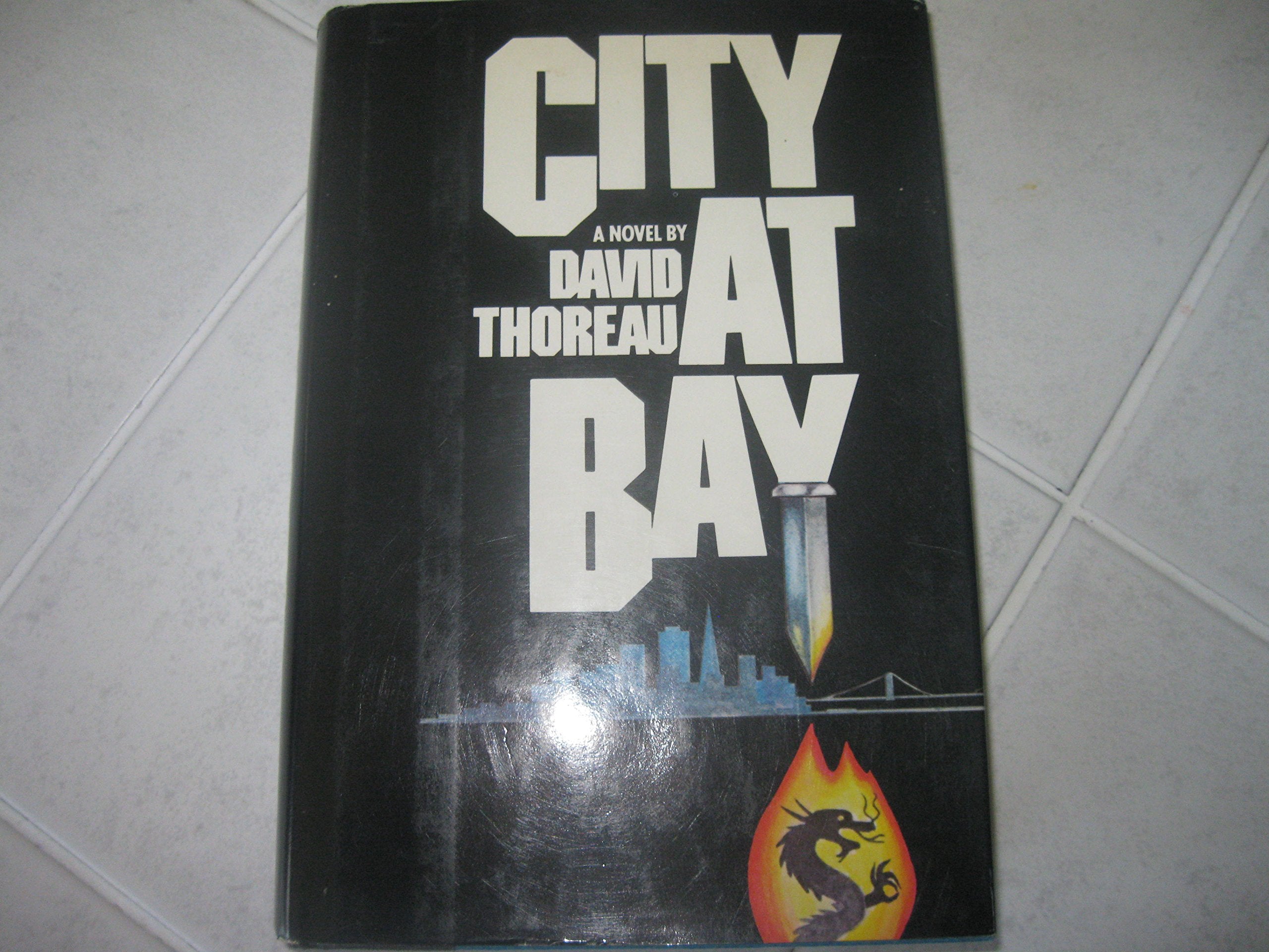 City at Bay: A Novel,Used