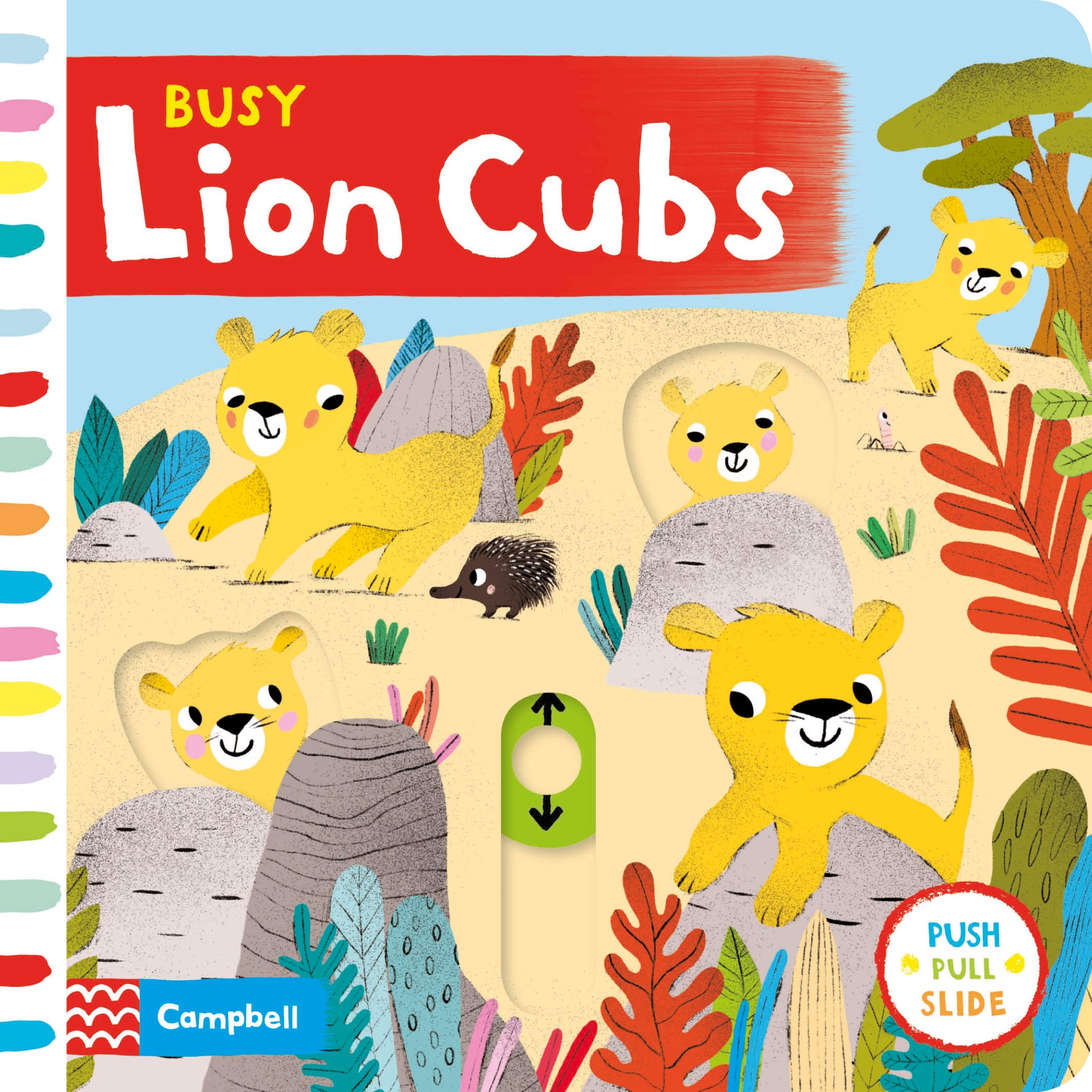 Busy Lion Cubs (Busy Books),Used