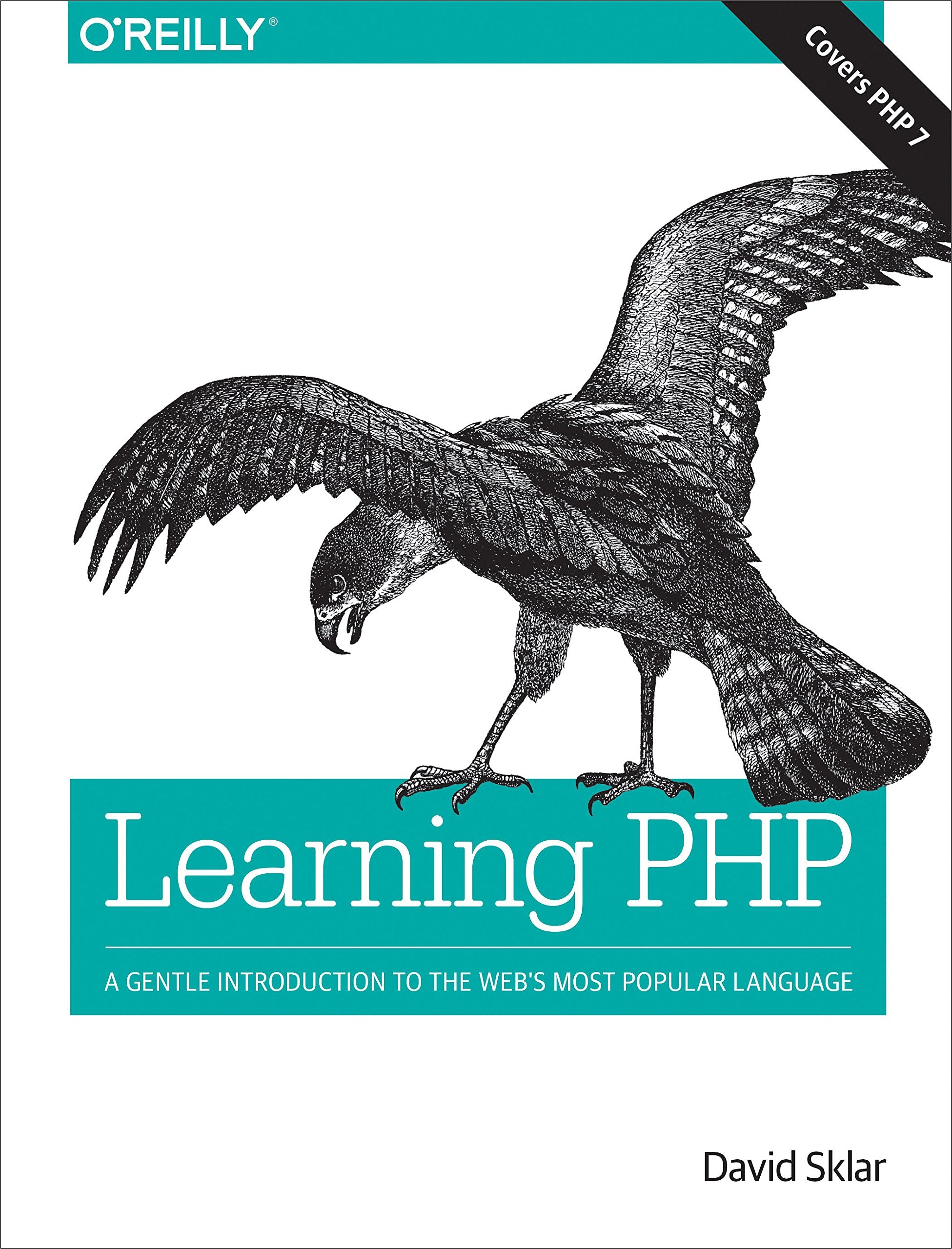 Learning PHP: A Gentle Introduction to the Web's Most Popular Language,New
