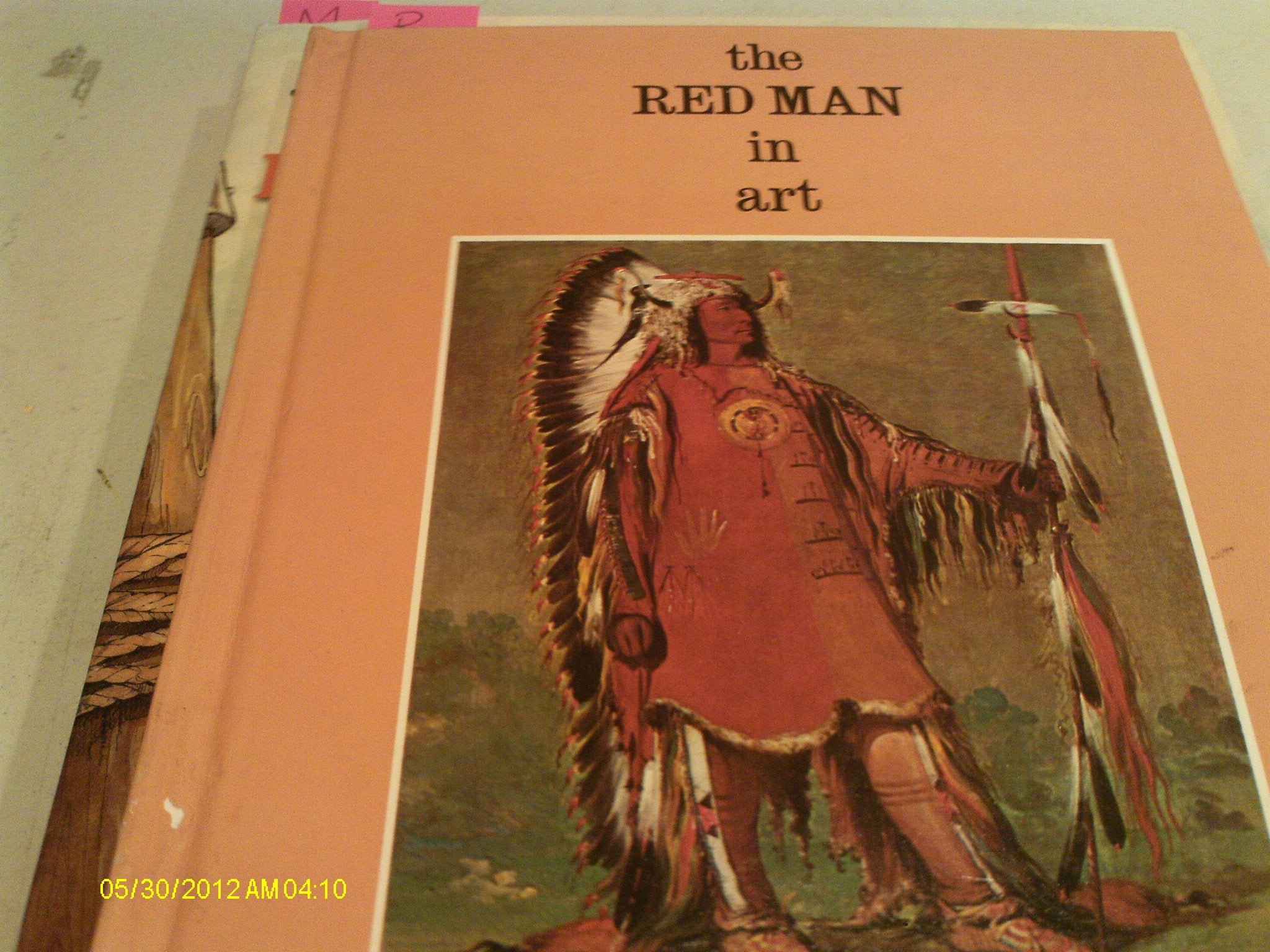 The Red Man in Art (Fine Art Books for Young People),Used