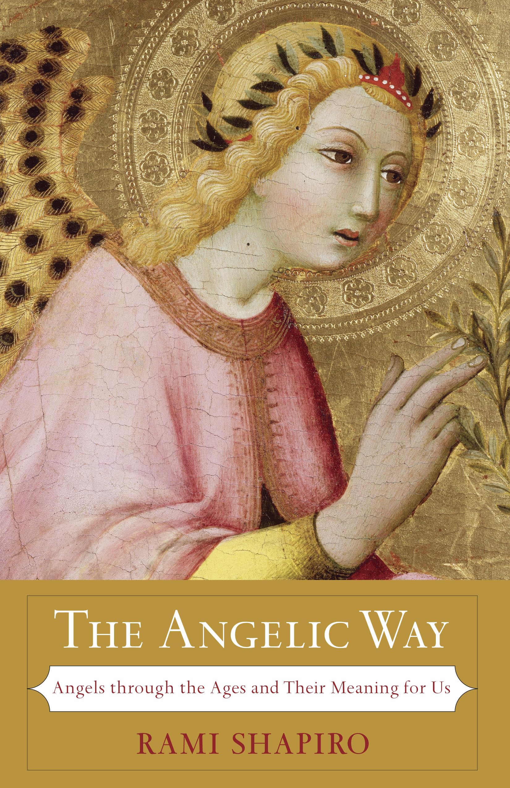 The Angelic Way: Angels Through The Ages And Their Meaning For Us,Used