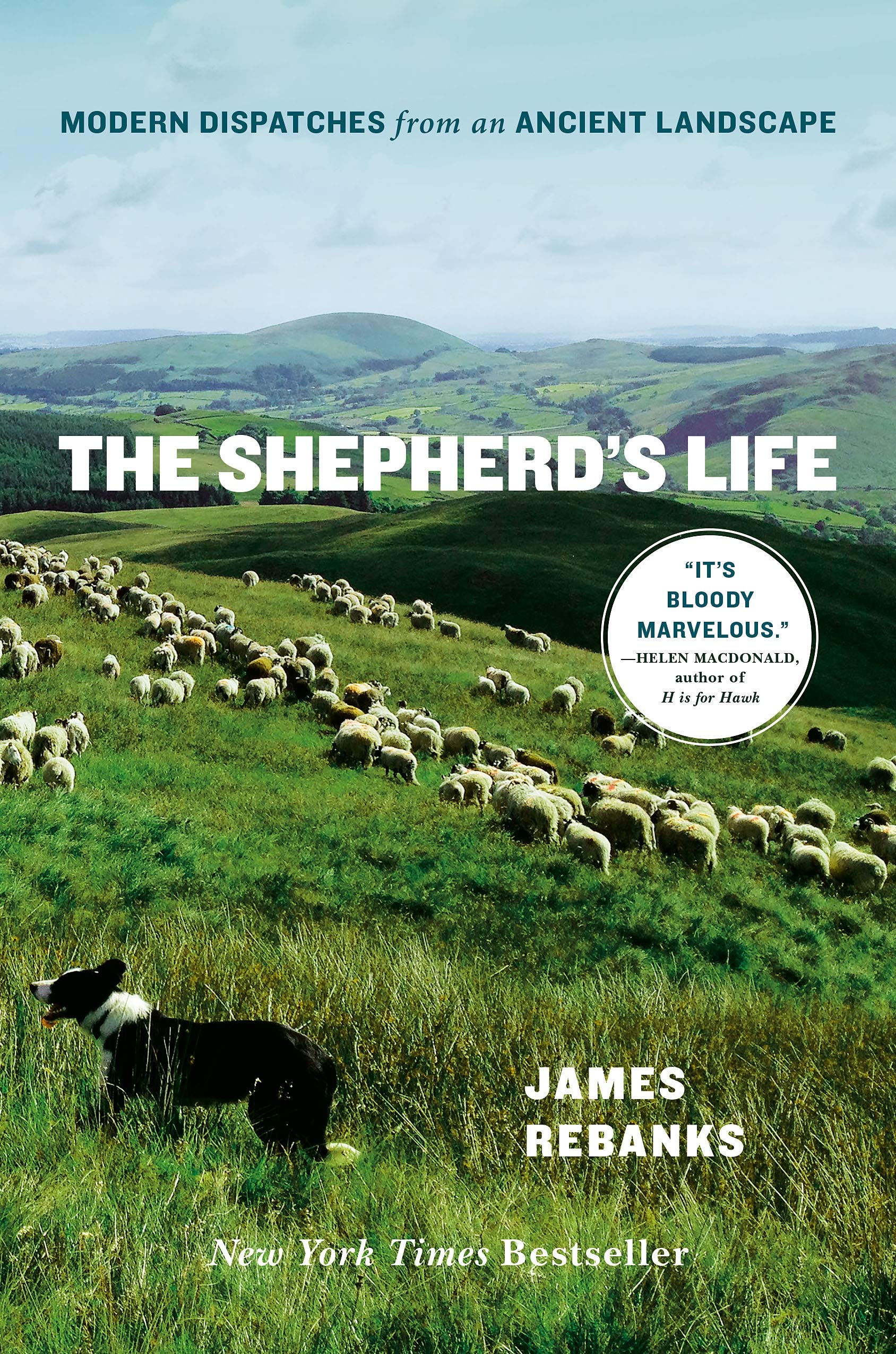 The Shepherd's Life: Modern Dispatches from an Ancient Landscape,Used
