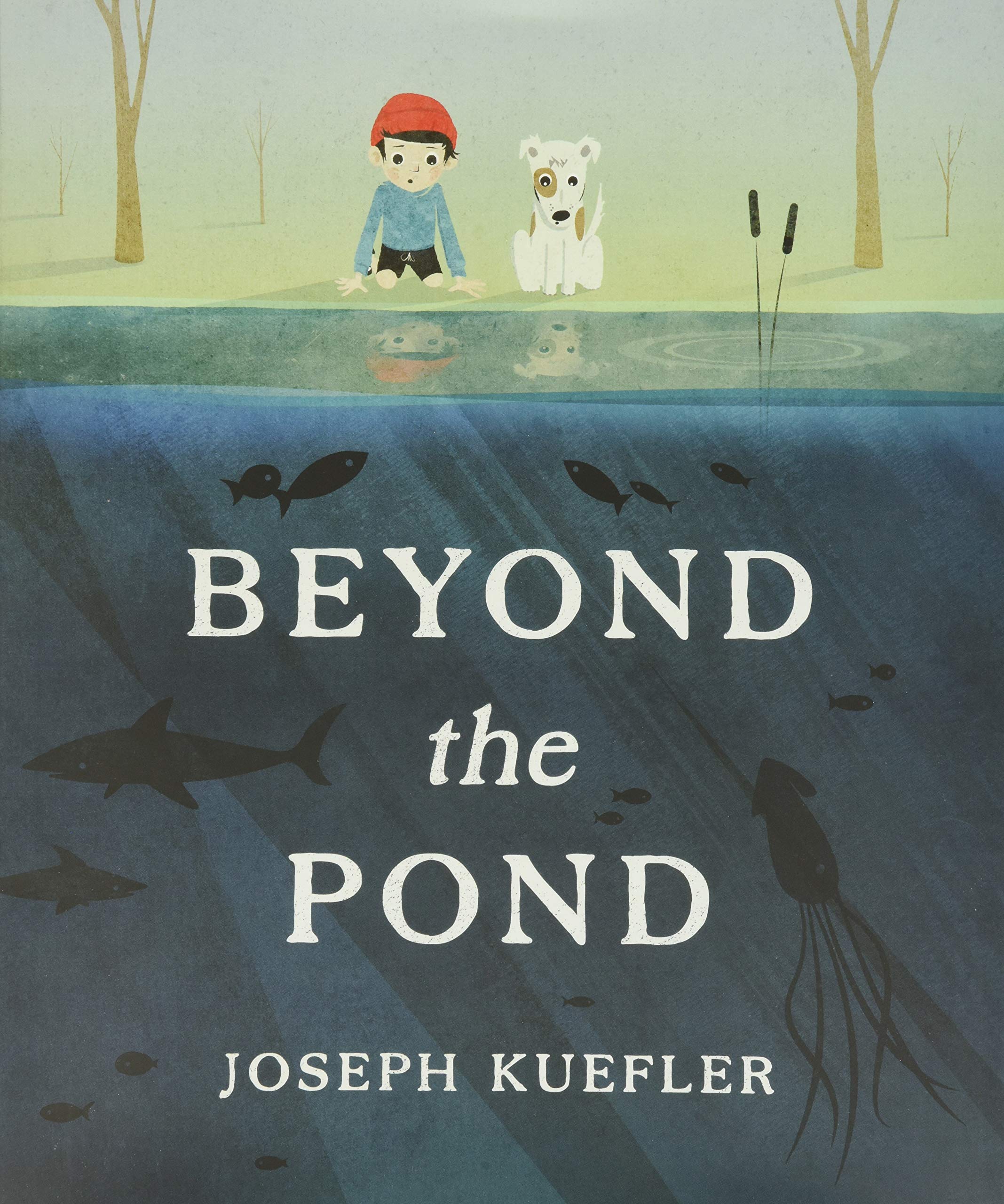 Beyond the Pond,Used