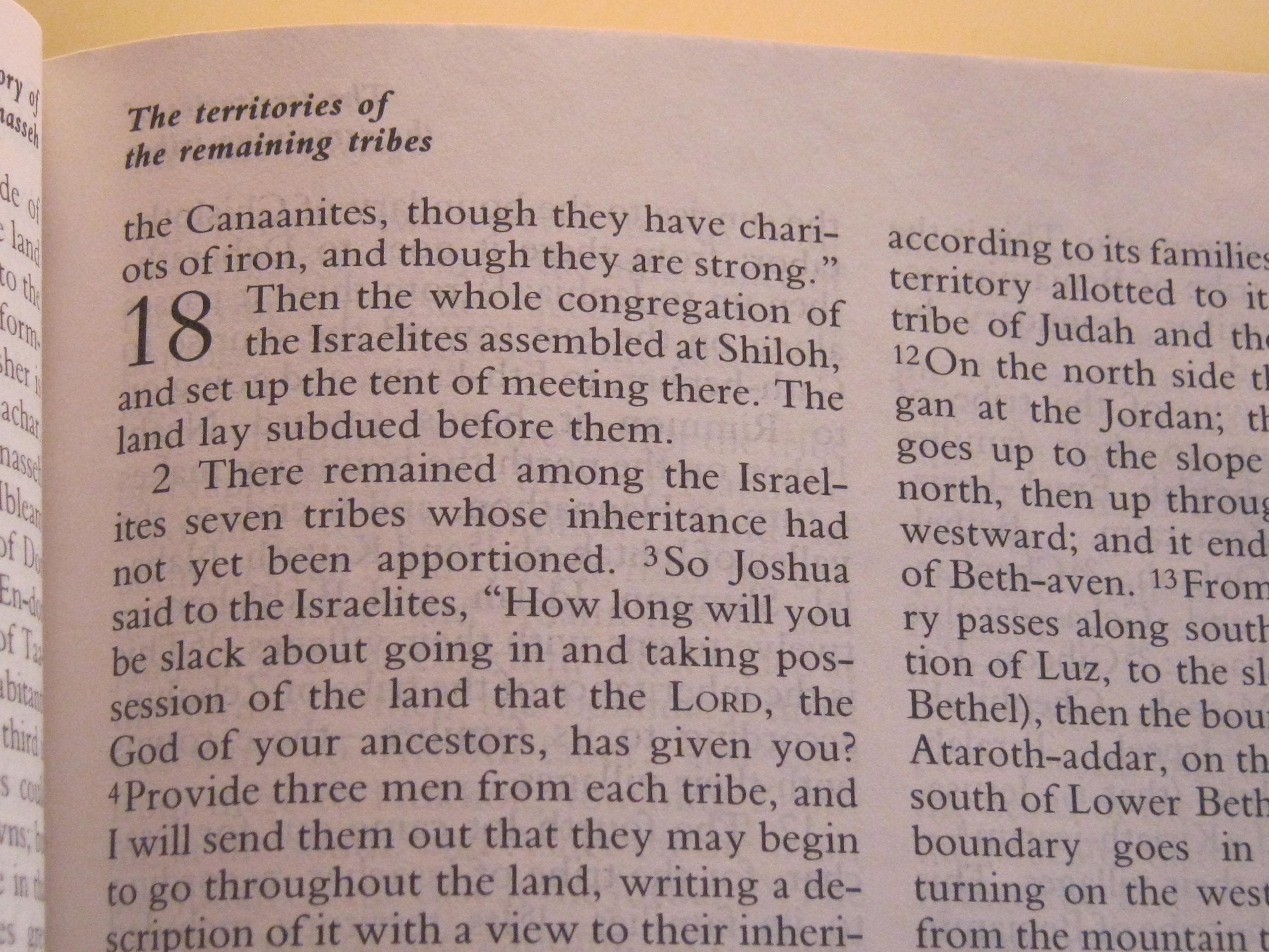 The New Oxford Annotated Bible, New Revised Standard Version,Used
