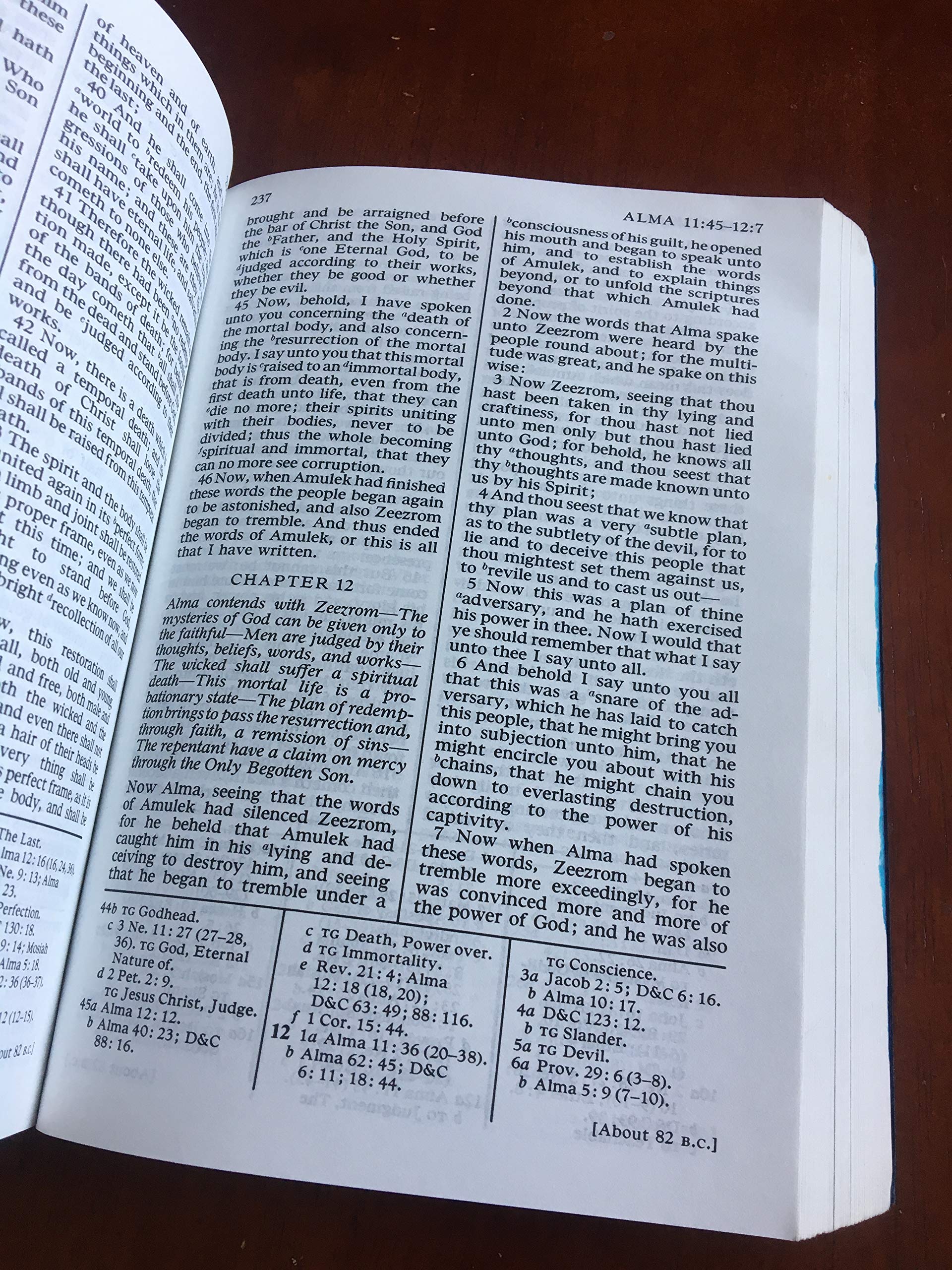 The Book Of Mormon: Another Testament Of Jesus Christ,Used