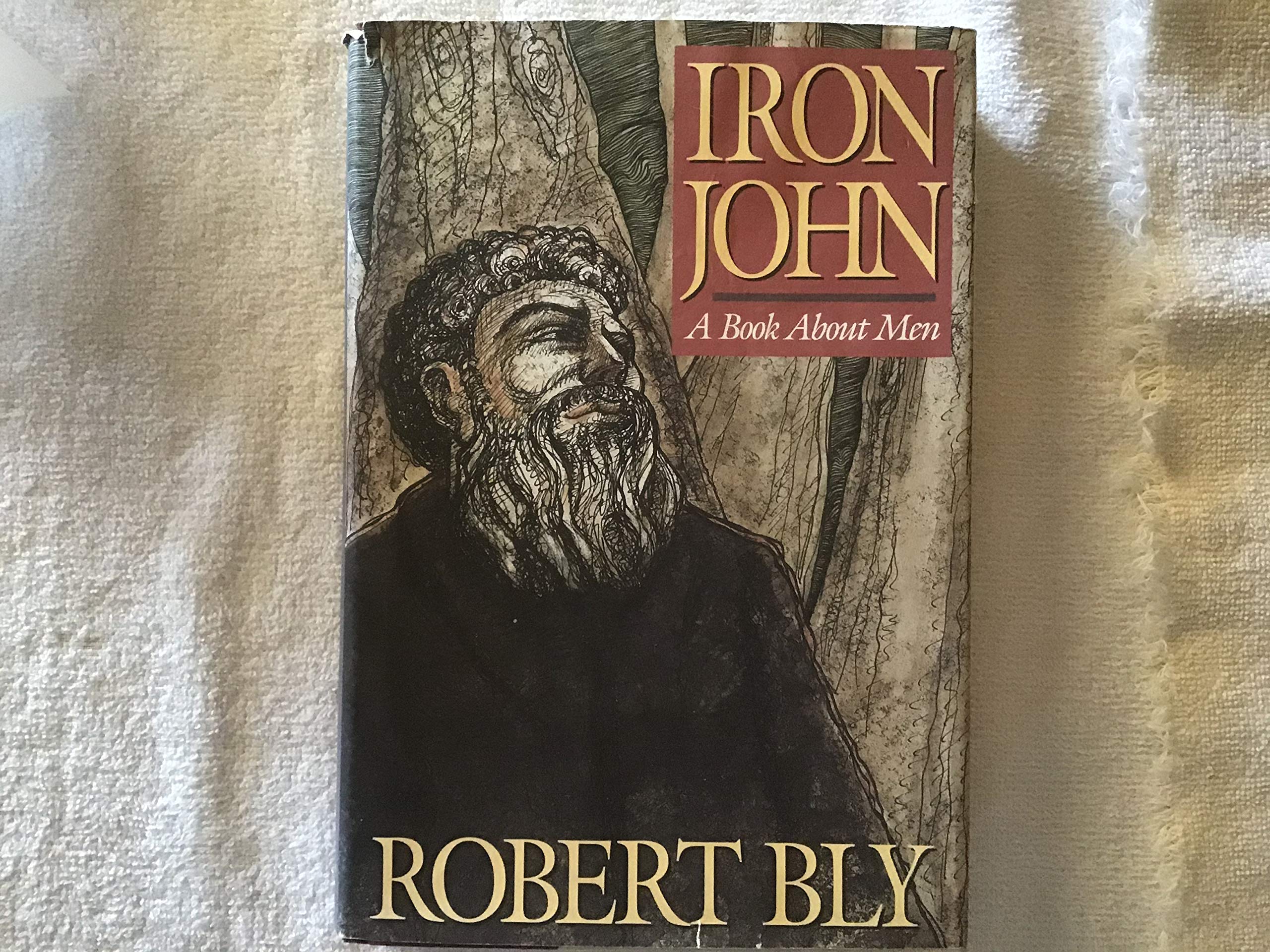 Iron John: A Book About Men by Bly, Robert (1990) Hardcover,Used