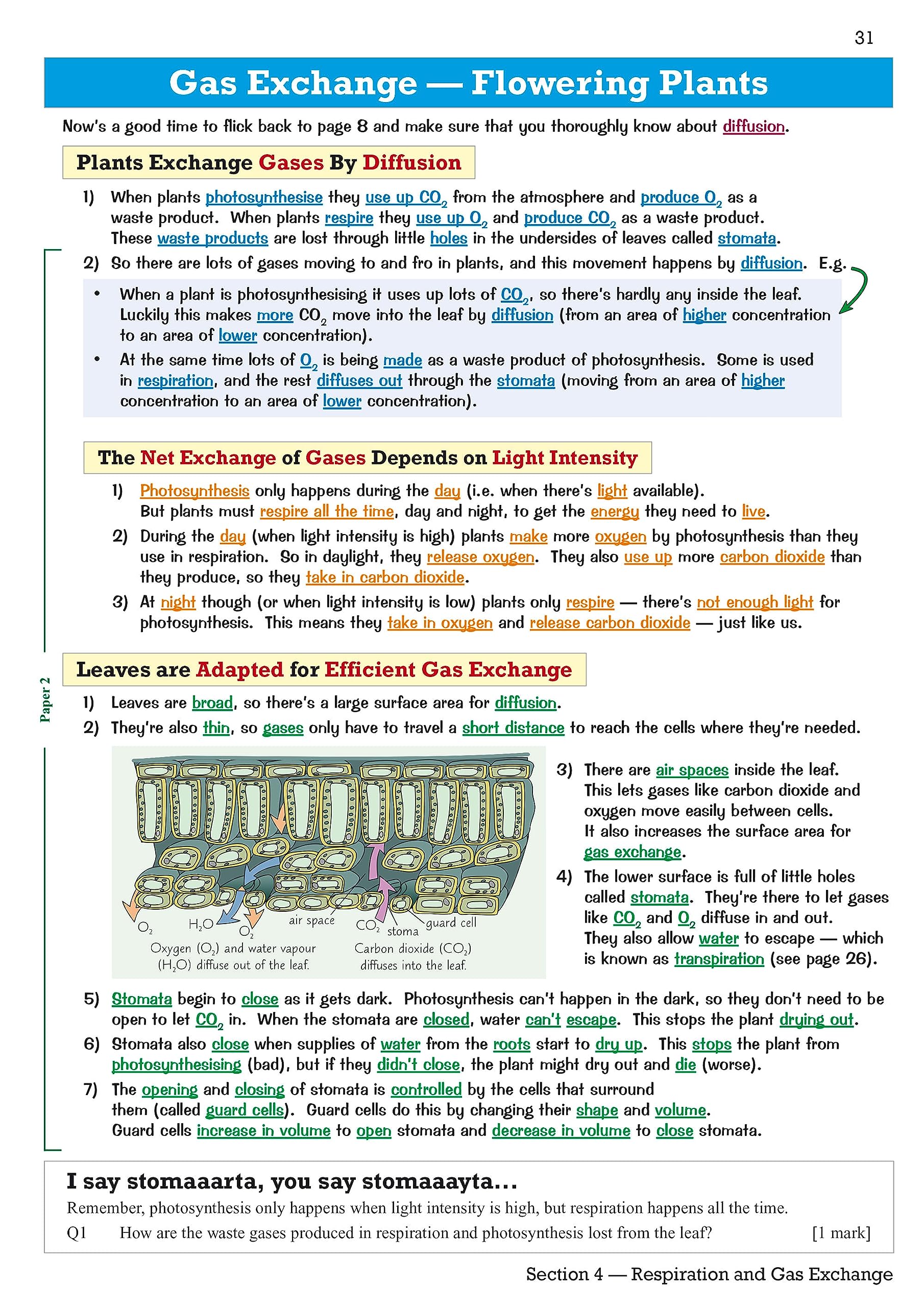 Revision Guide With Online Edition,Used