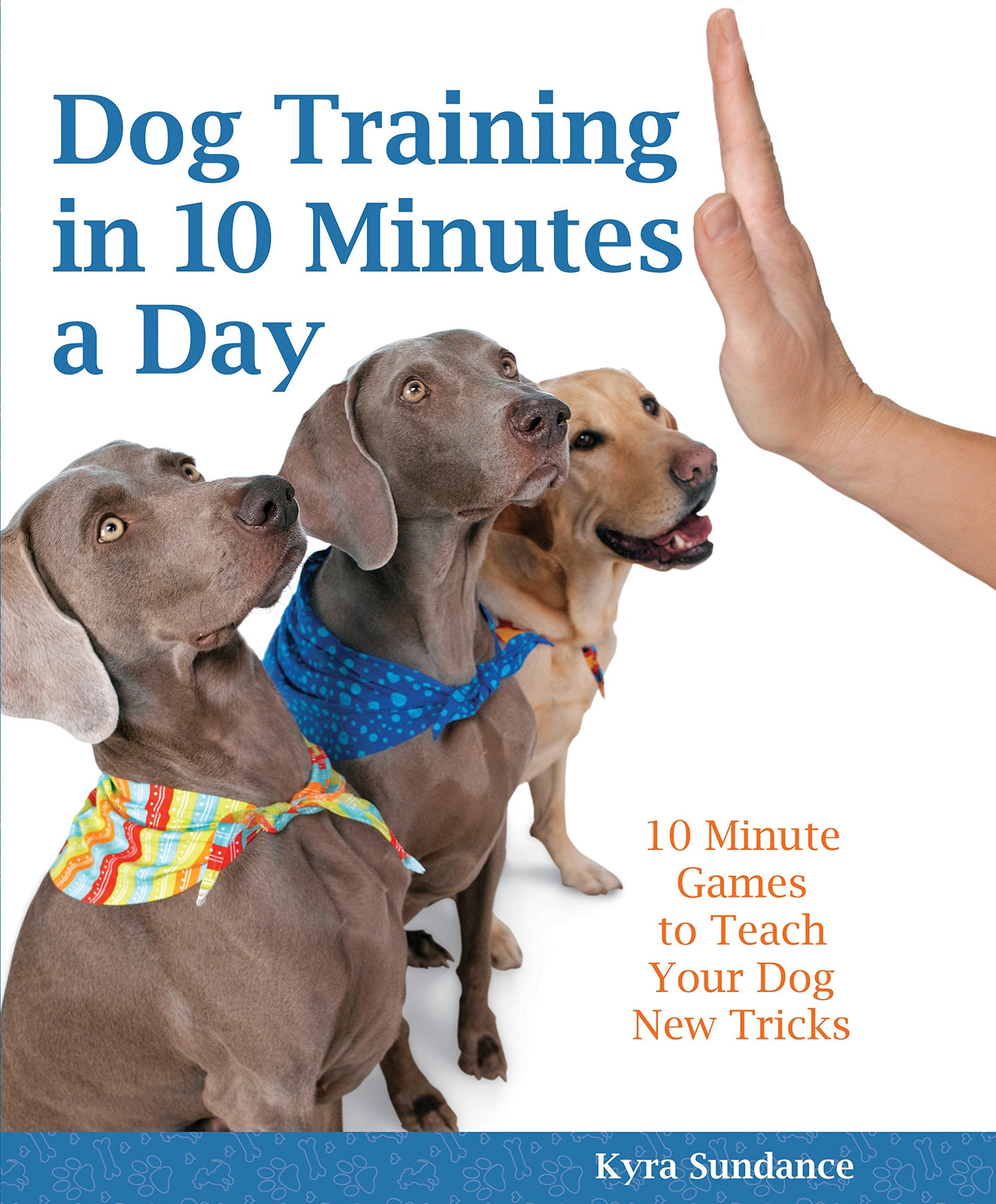 Dog Training In 10 Minutes A Day: 10Minute Games To Teach Your Dog New Tricks