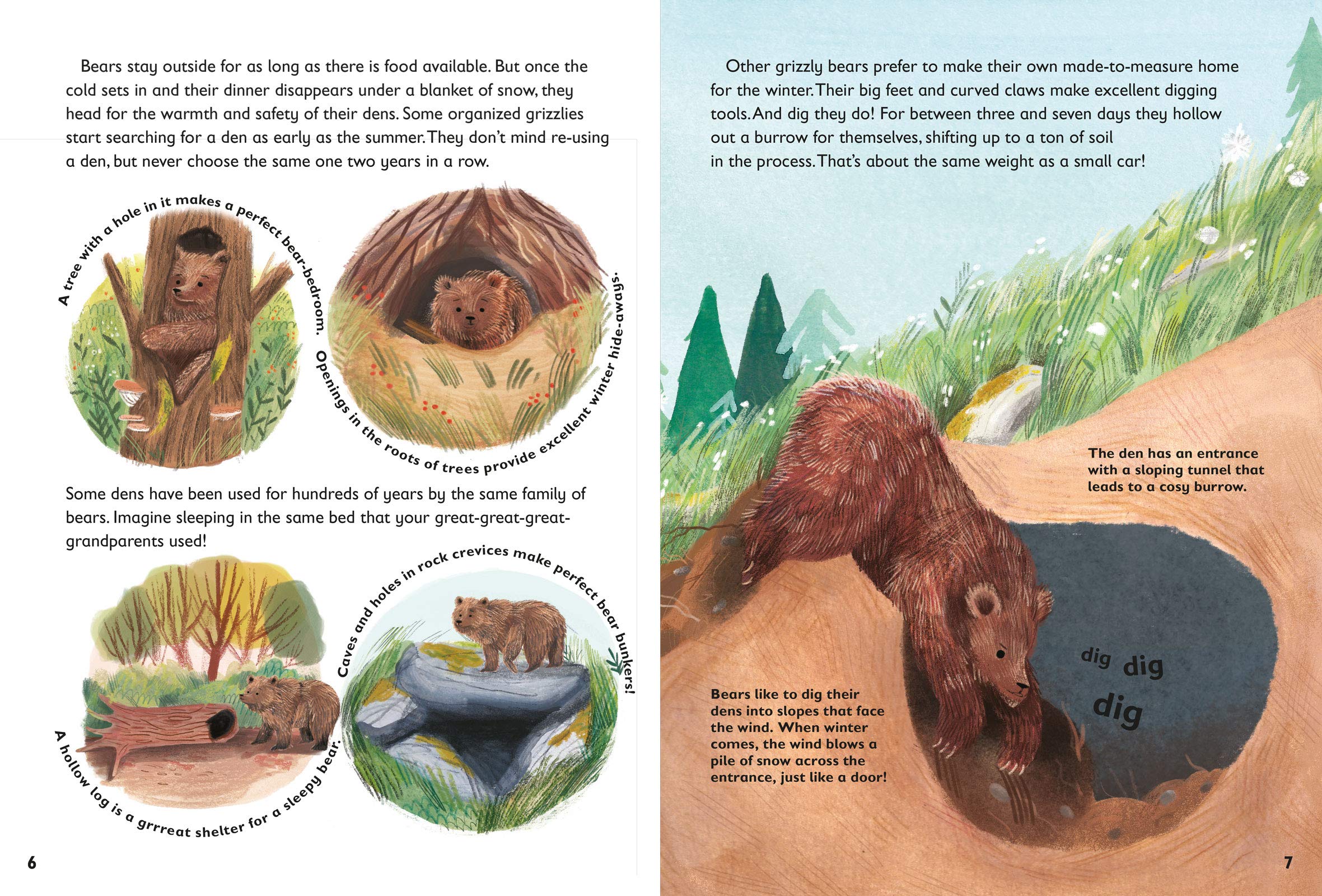 5Minute Really True Stories For Bedtime: 30 Amazing Stories: Featuring Frozen Frogs, King Tut?S Beds, The World'S Biggest Sleep,Used