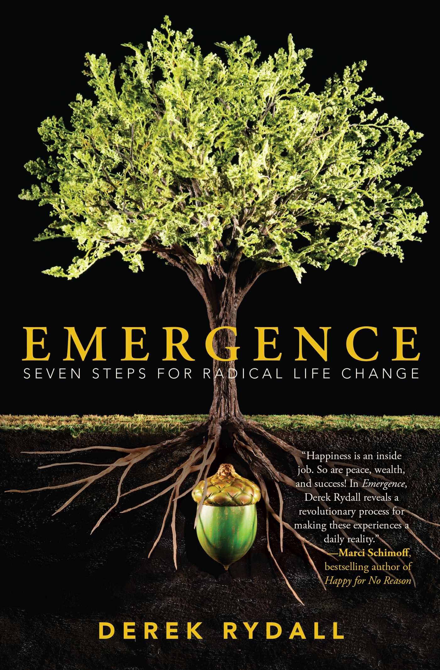 Emergence: Seven Steps For Radical Life Change