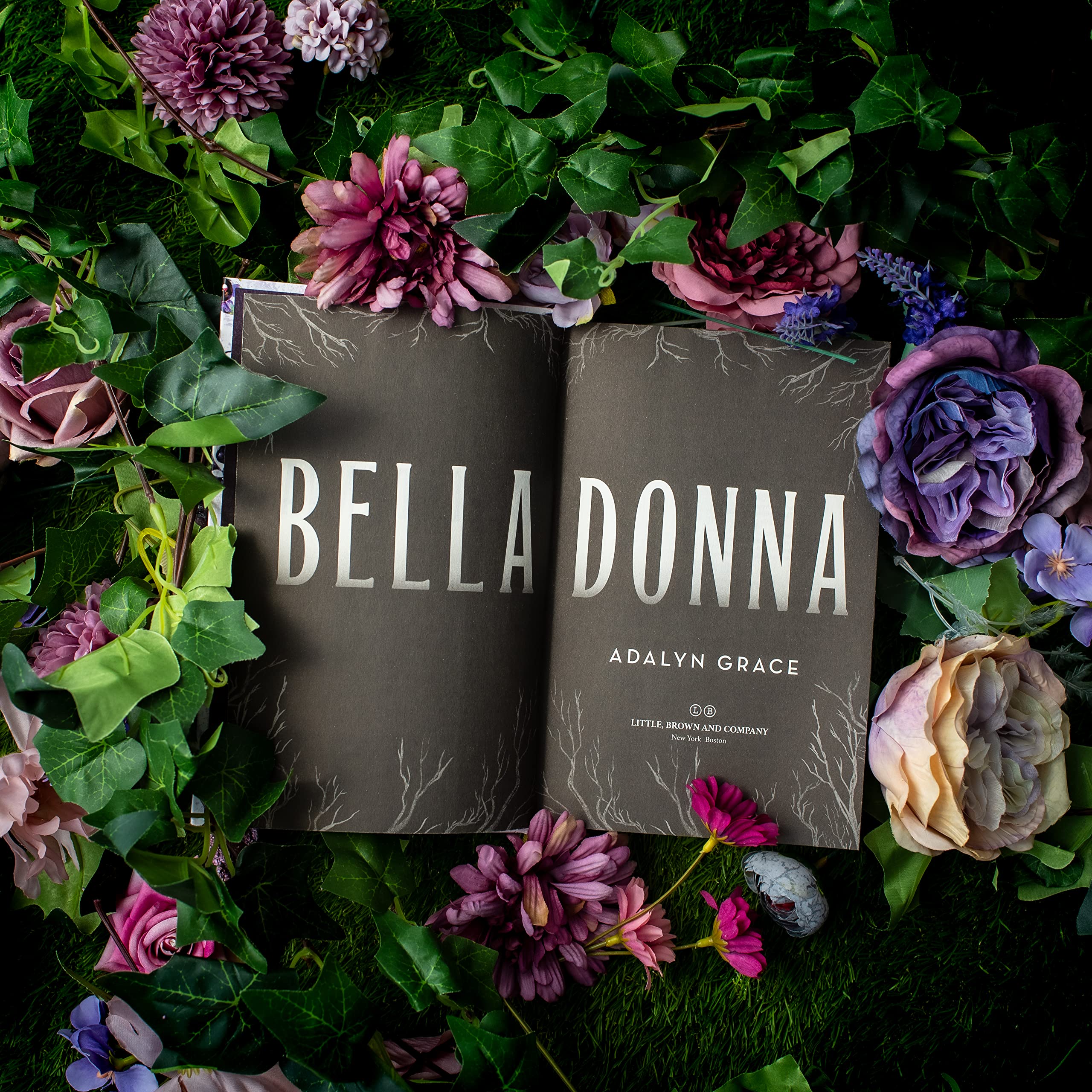 Belladonna (Belladonna, 1),New