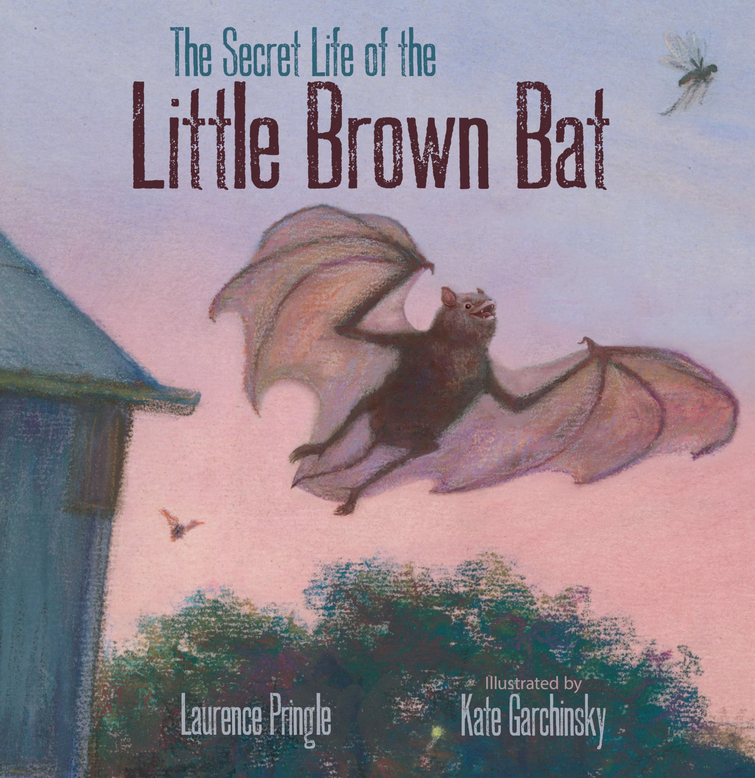 The Secret Life of the Little Brown Bat,Used