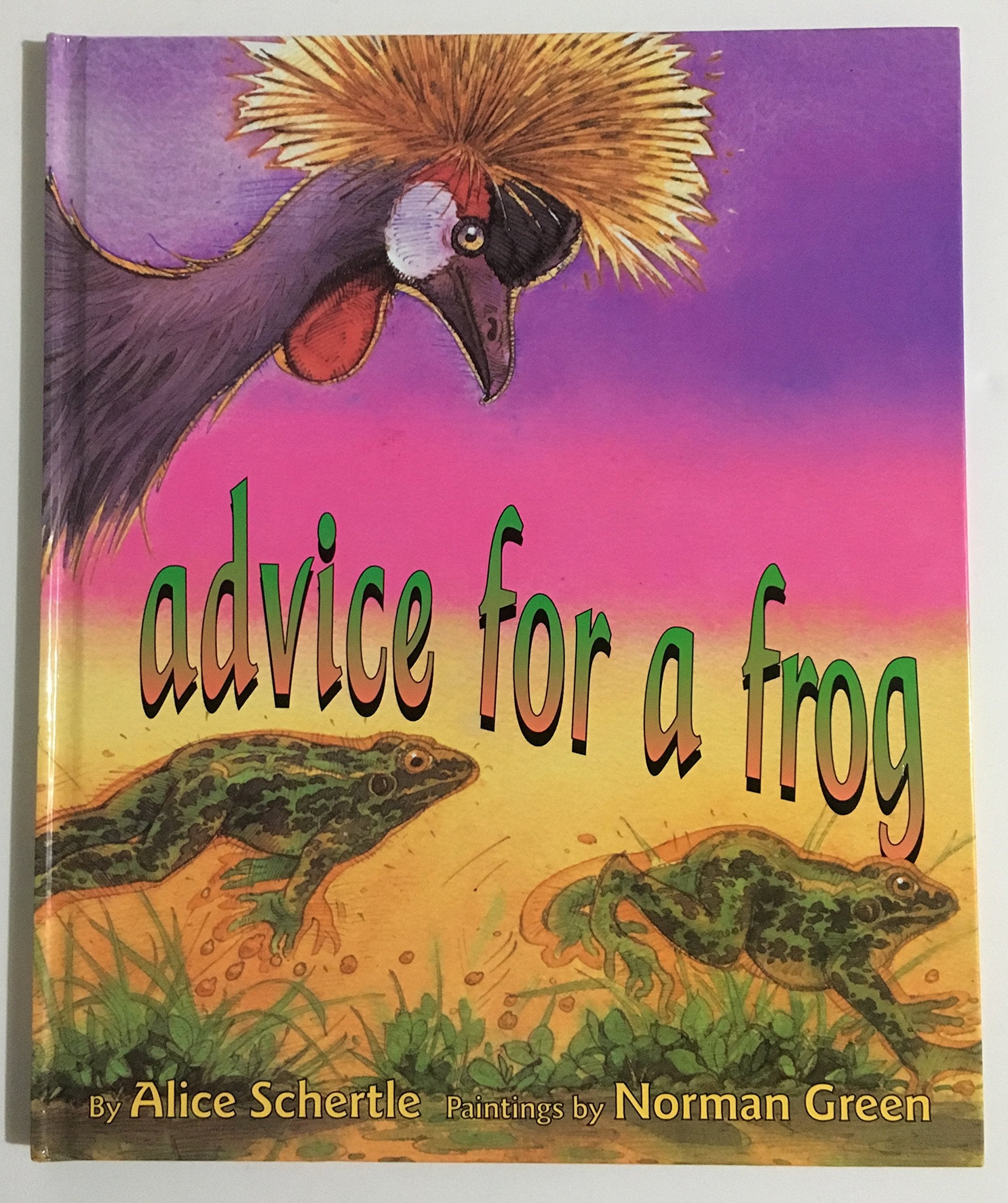 Advice for a Frog,Used