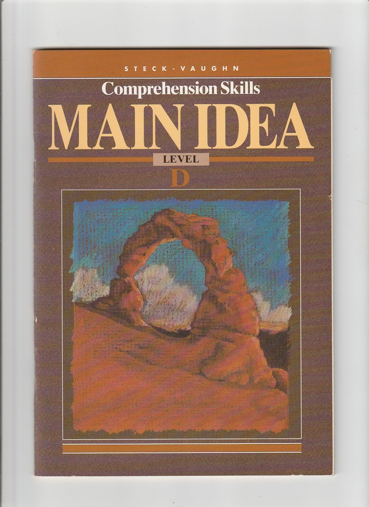 Steckvaughn Comprehension Skills: Workbook Level D Facts,Used