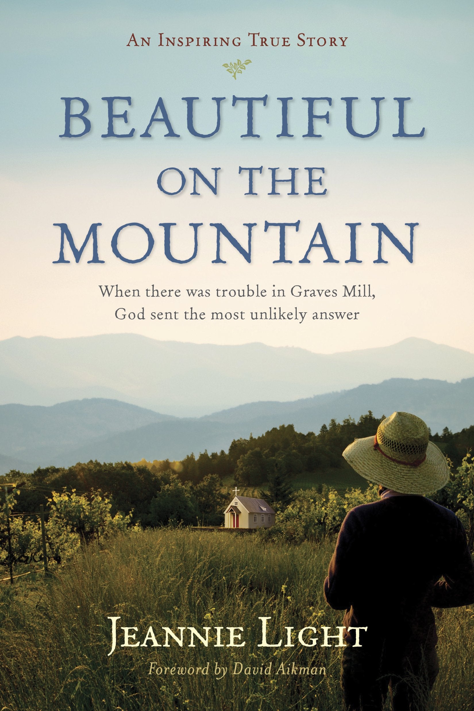 Beautiful on the Mountain: An Inspiring True Story,Used