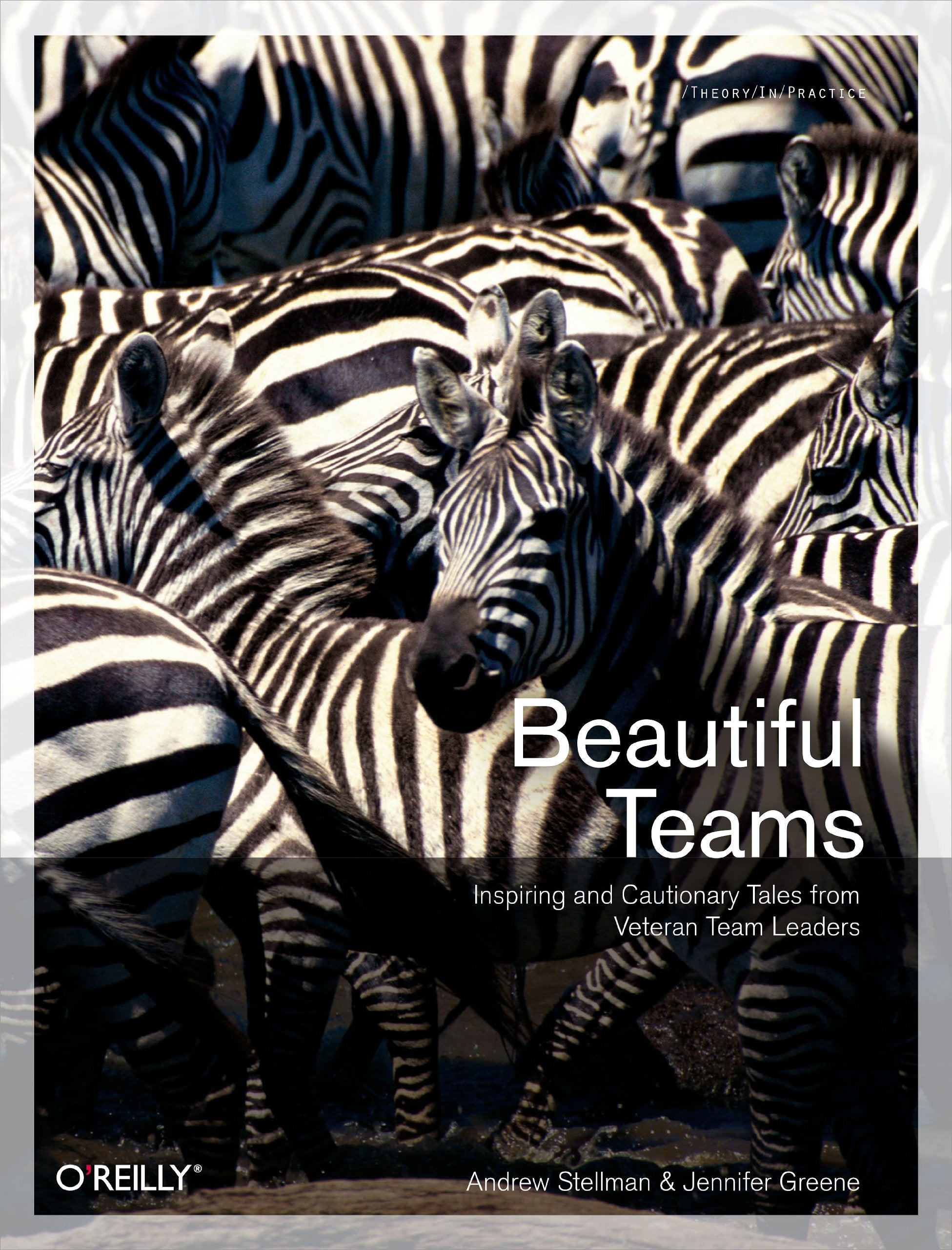 Beautiful Teams: Inspiring And Cautionary Tales From Veteran Team Leaders,New