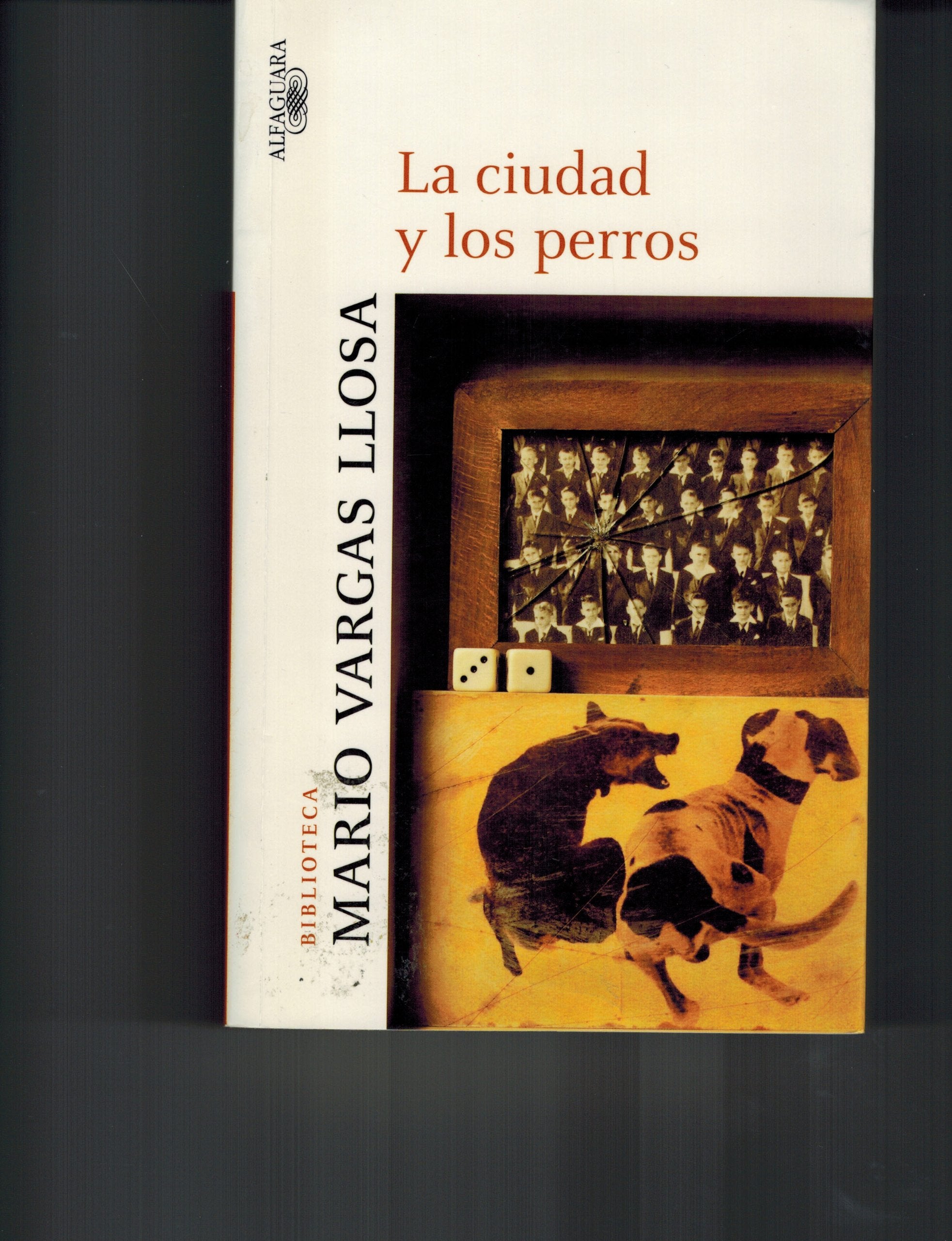 Ciudad y los perros (Spanish Edition),Used
