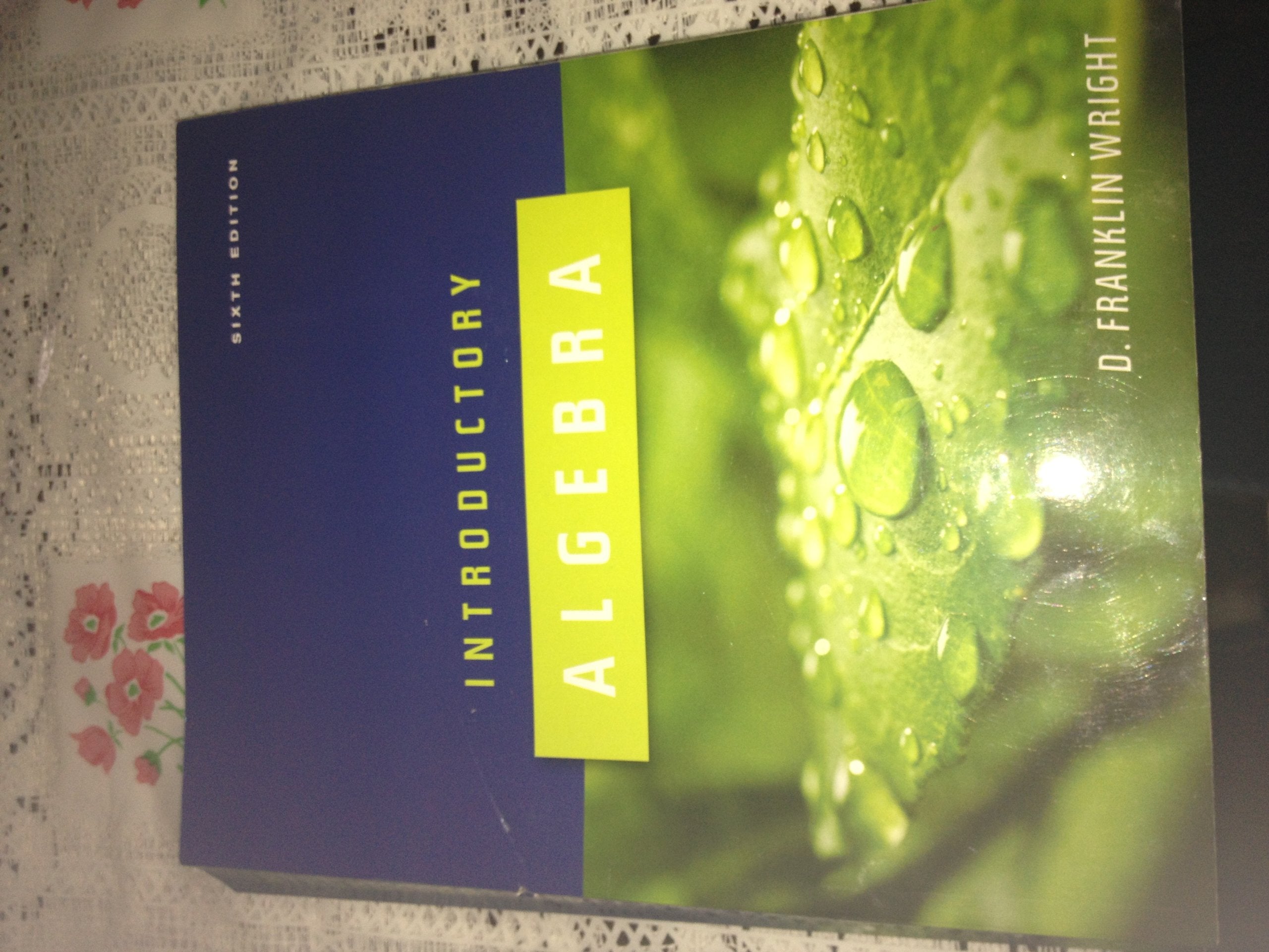 Introductory Algebra 6th ed Text Only Softcover,Used