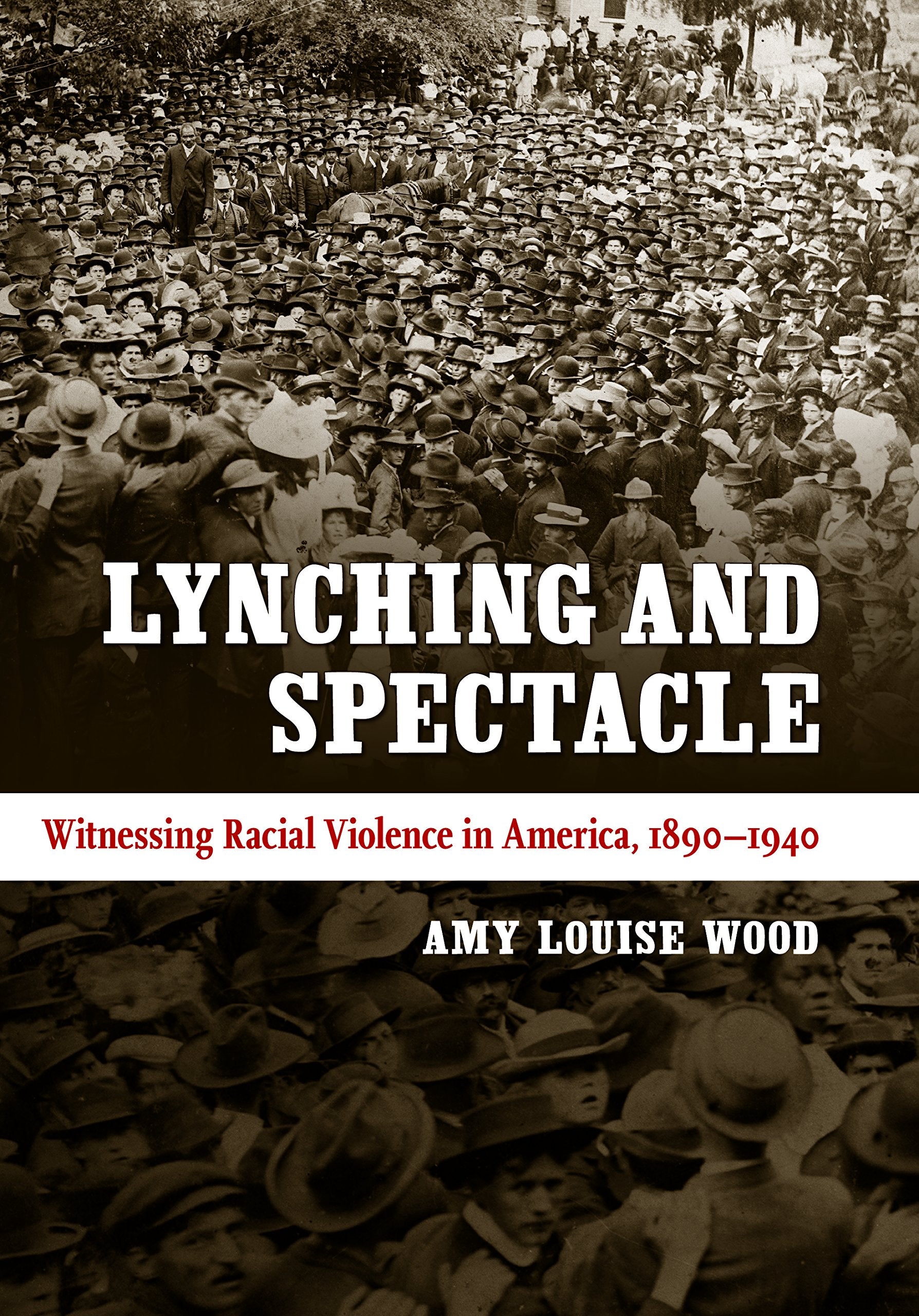 Lynching And Spectacle: Witnessing Racial Violence In America, 18901940 (New Directions In Southern Studies),New