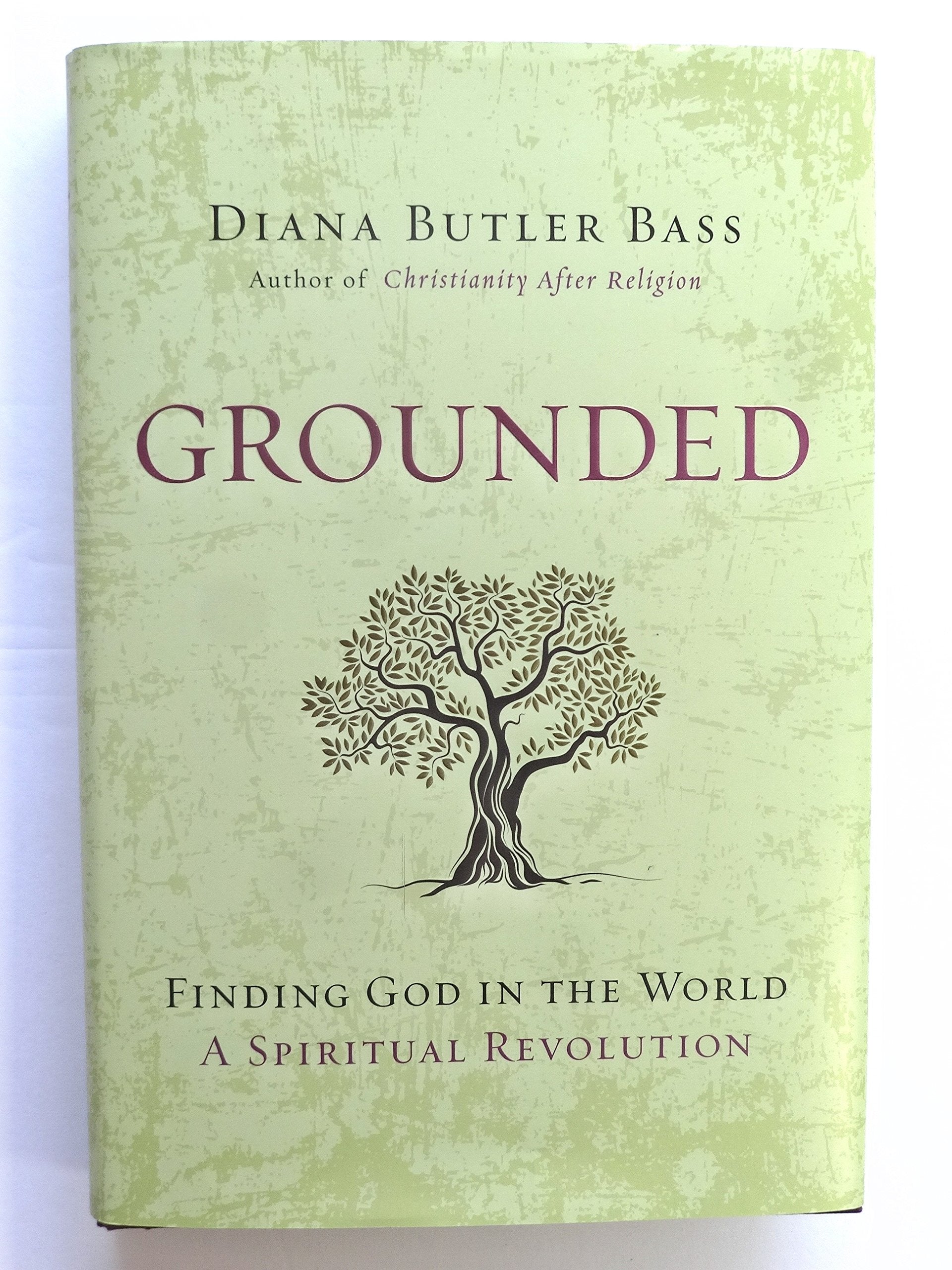 Grounded: Finding God in the WorldA Spiritual Revolution,Used