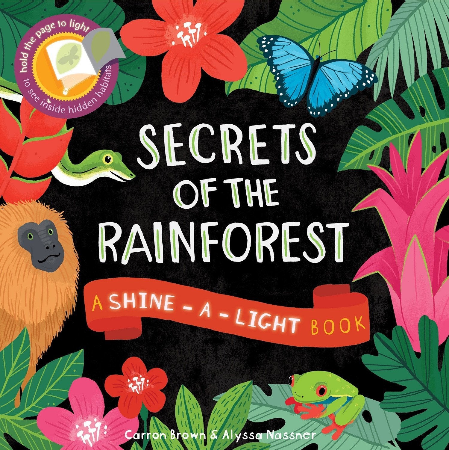 Secrets of the Rain Forest (ShineALight),Used