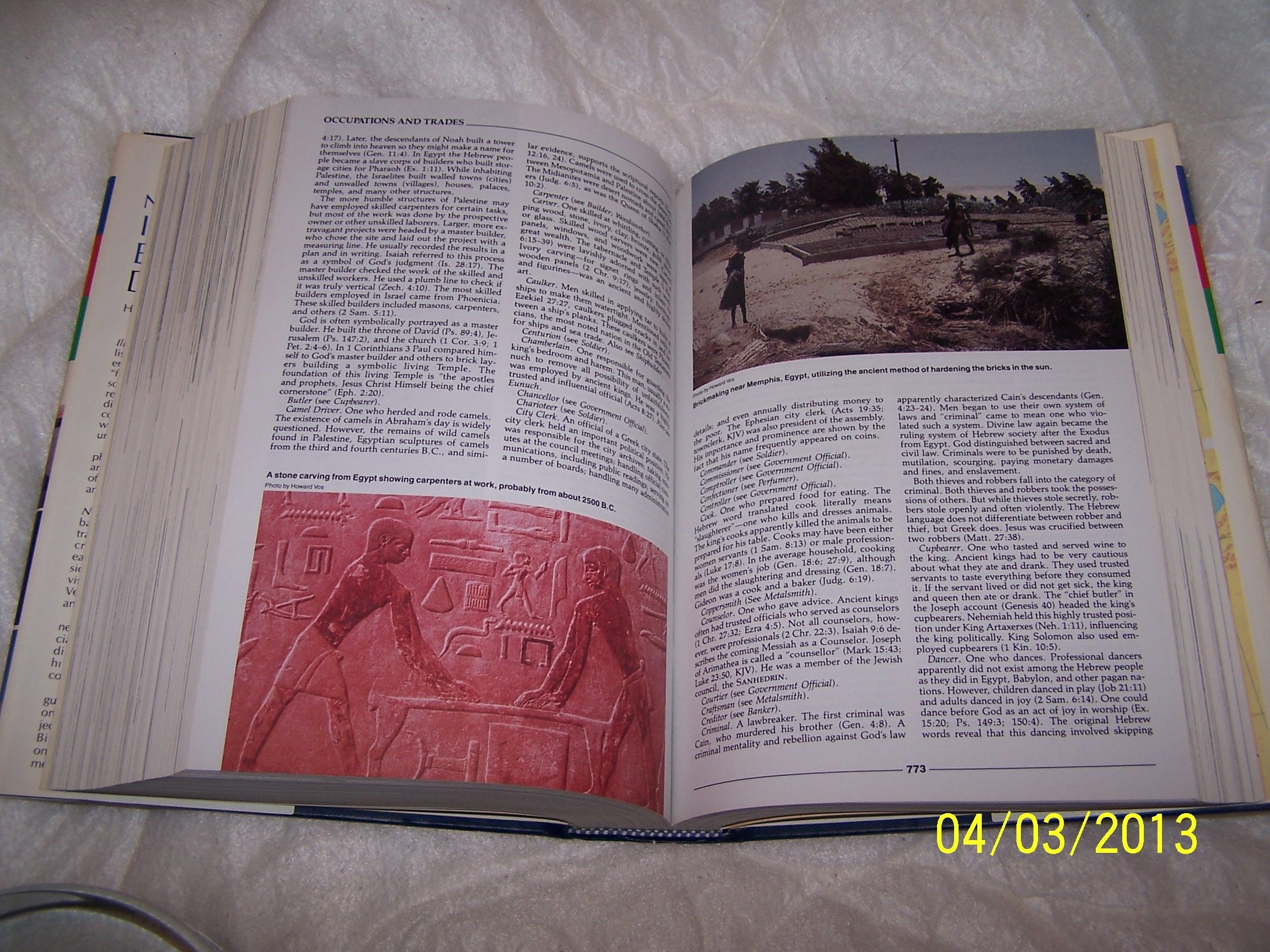 Nelson'S Illustrated Bible Dictionary,New