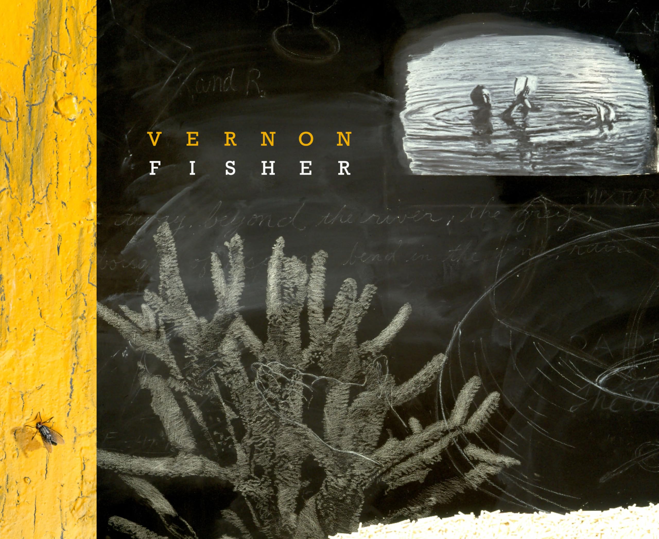 Vernon Fisher (M. Georgia Hegarty Dunkerley Contemporary Art Series),Used