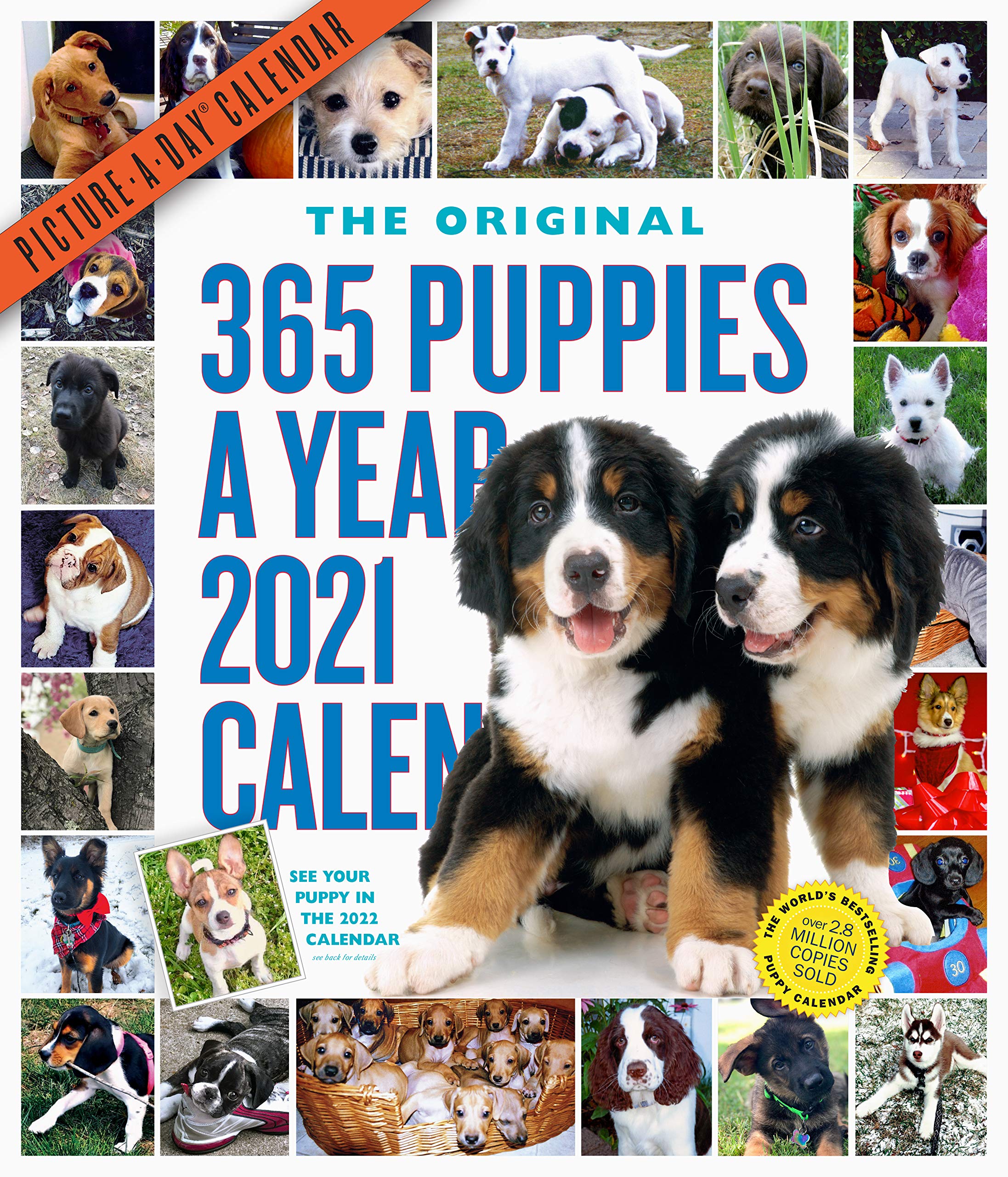 365 Puppiesayear Pictureaday Wall Calendar 2021,New
