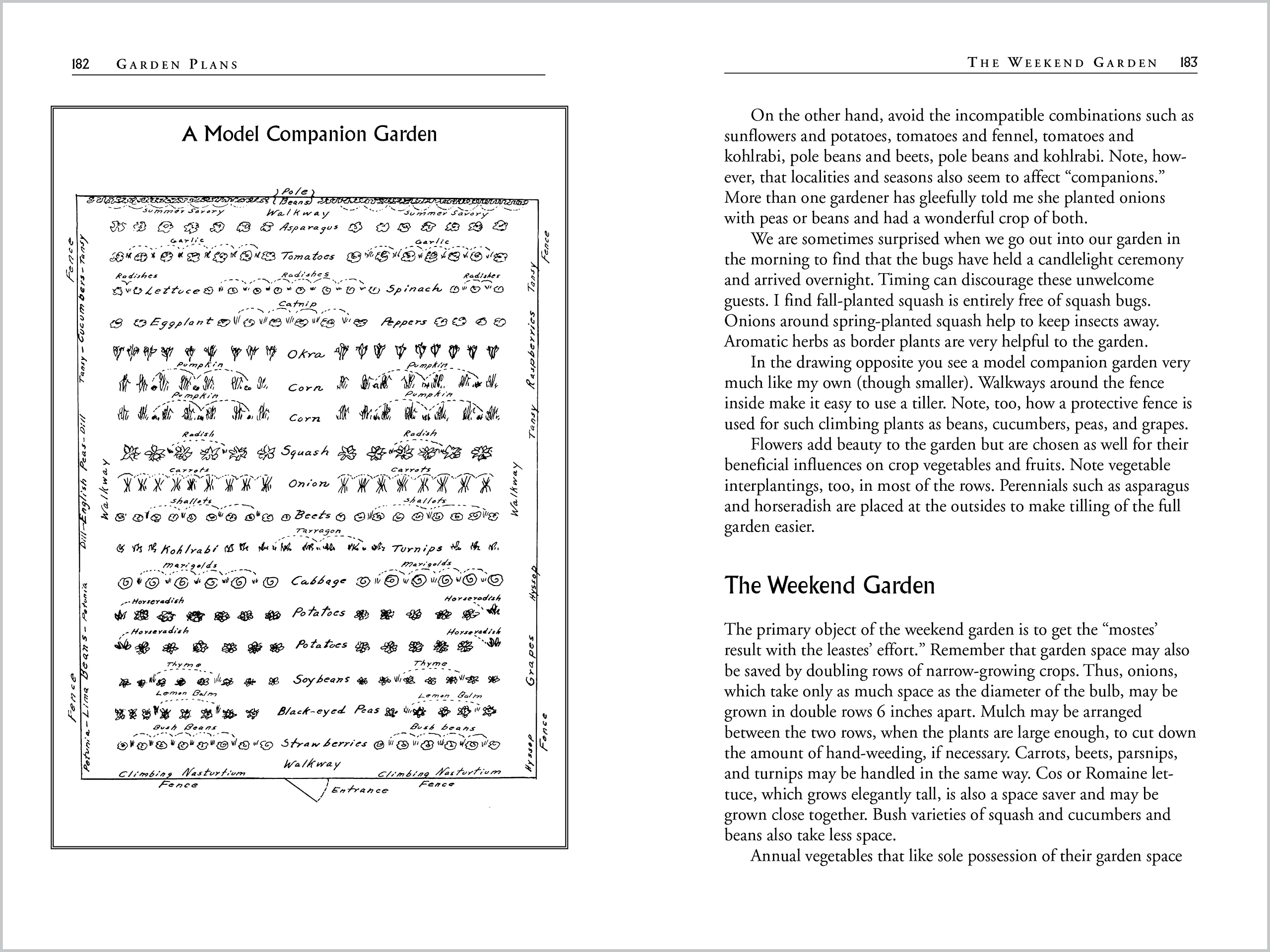 Carrots Love Tomatoes: Secrets of Companion Planting for Successful Gardening,New