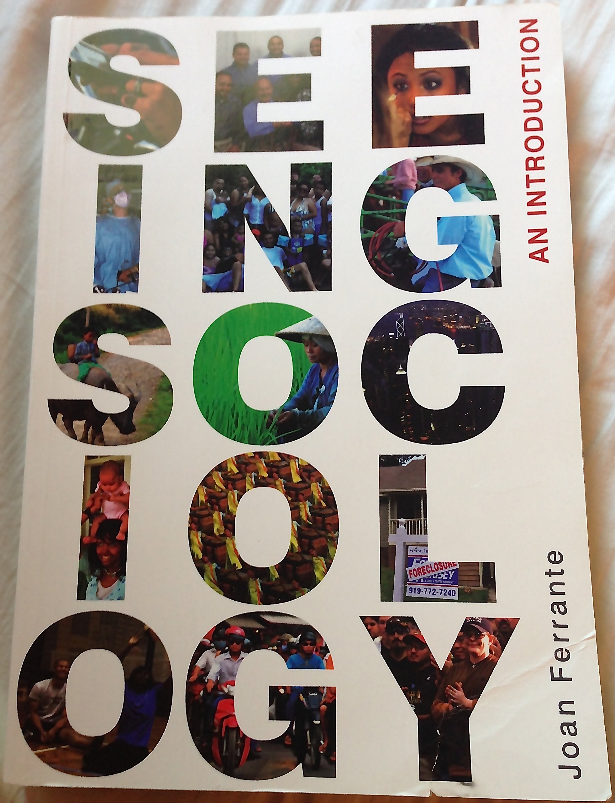 Seeing Sociology: An Introduction (Available Titles CourseMate),Used