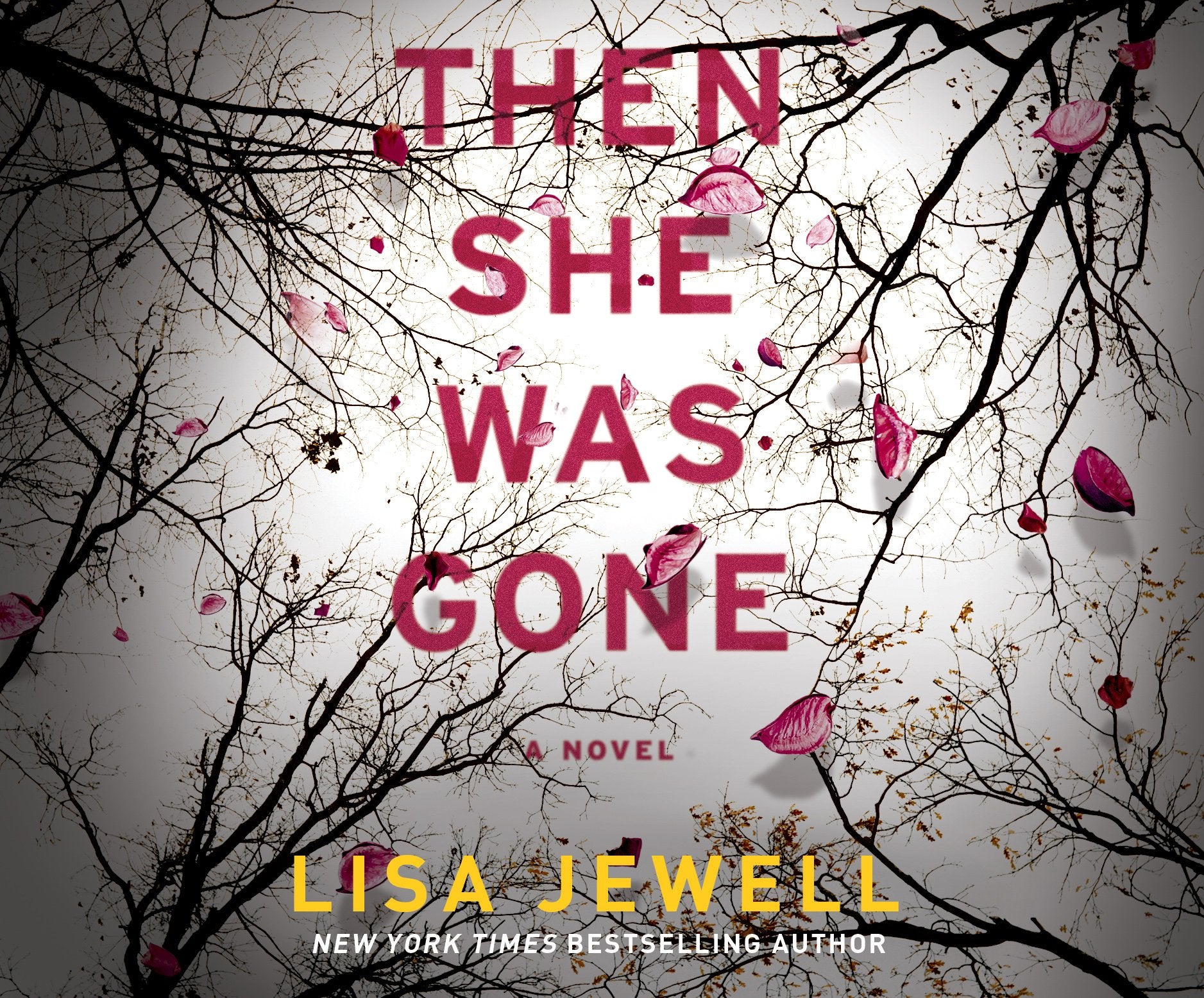 Then She Was Gone: A Novel,Used