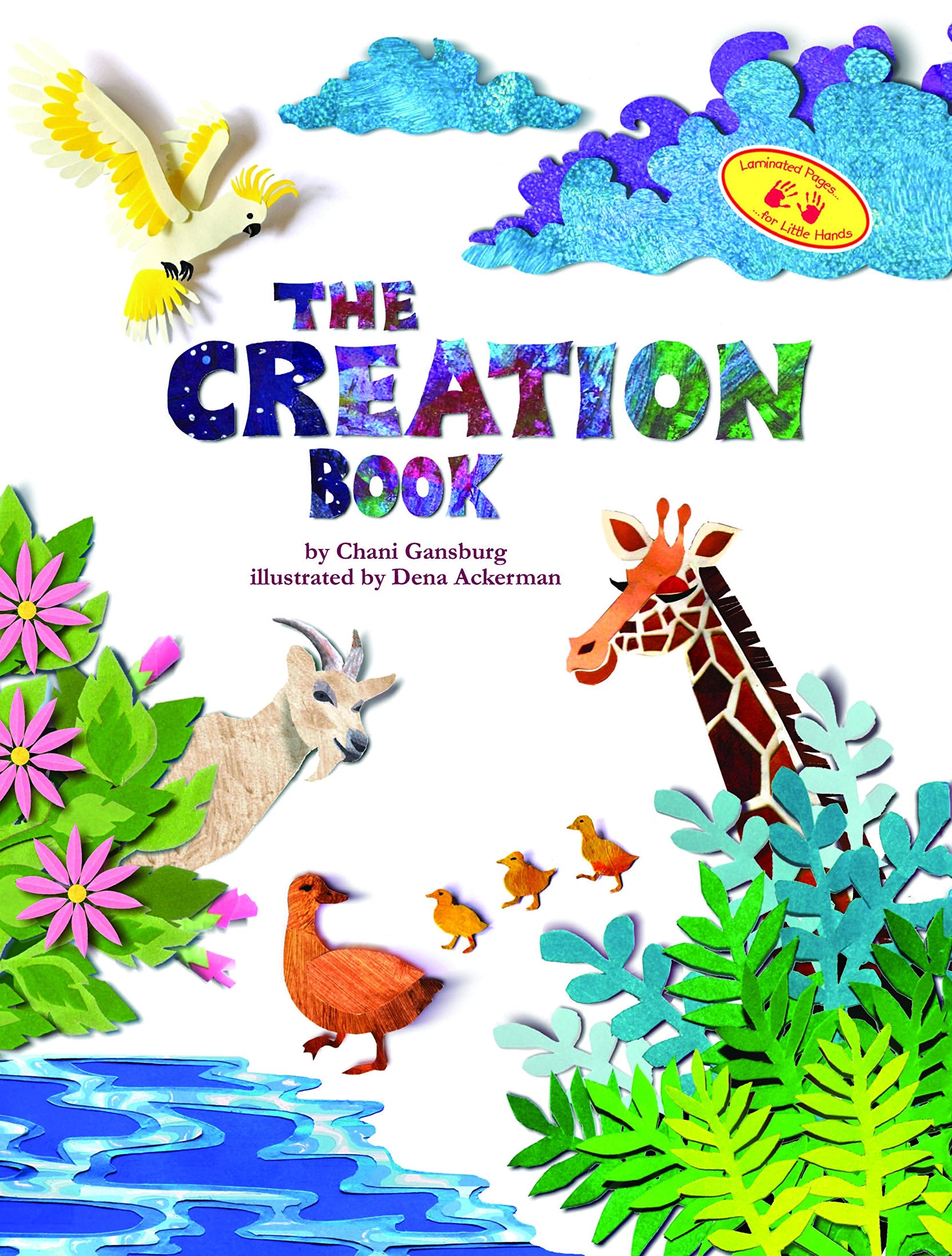 The Creation Book,Used