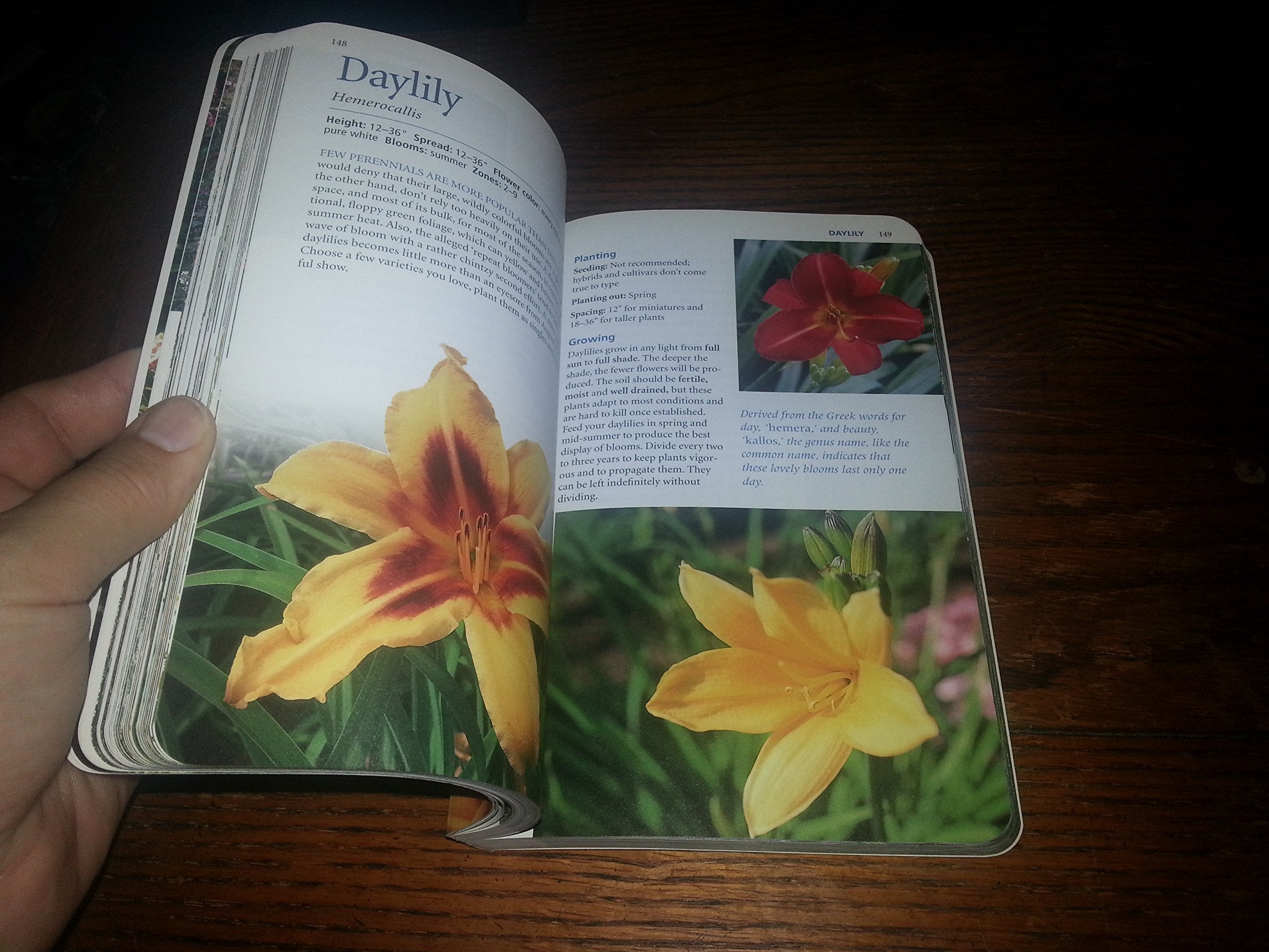 Perennials for Minnesota and Wisconsin,New