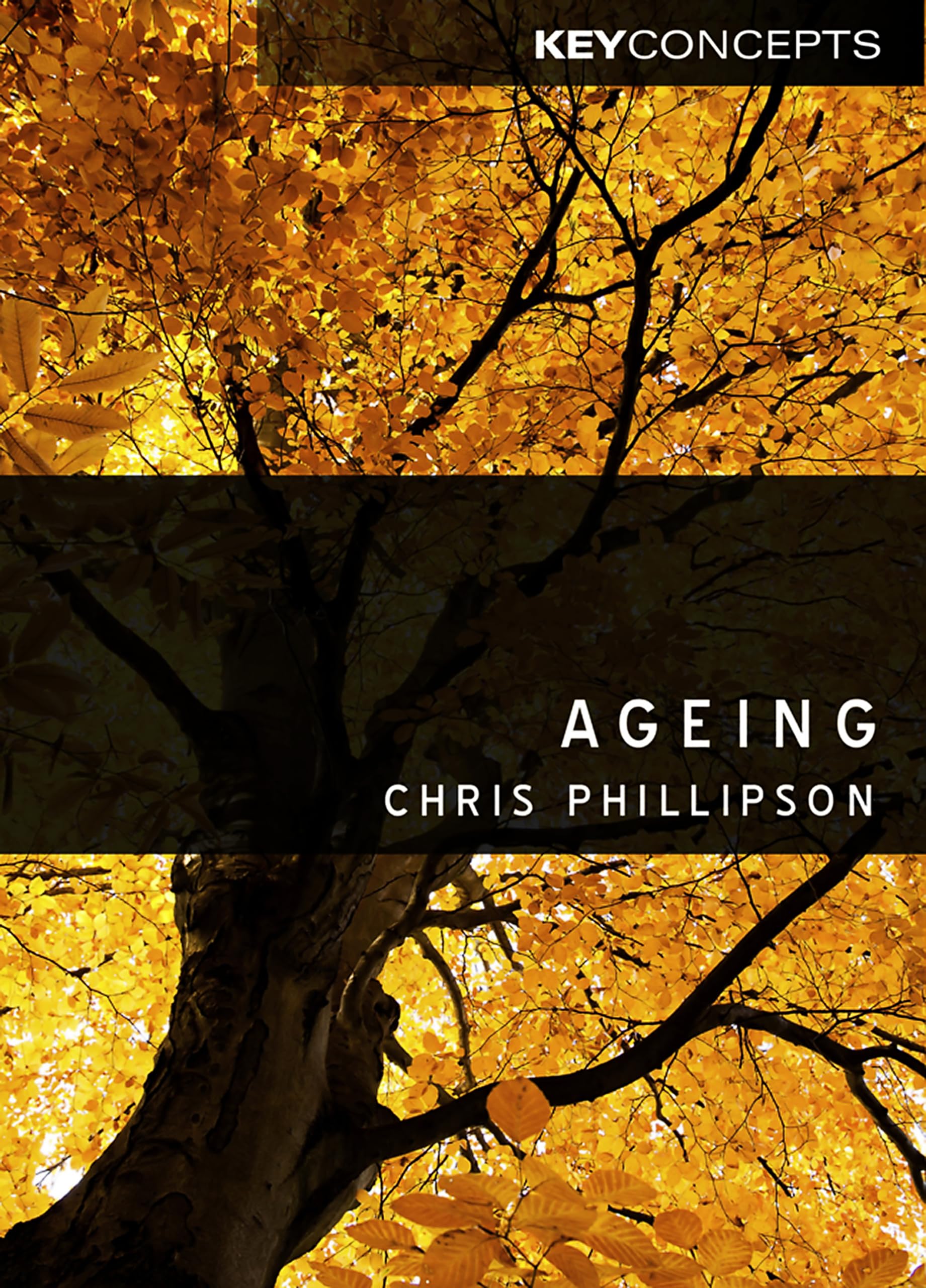 Ageing (Key Concepts),Used