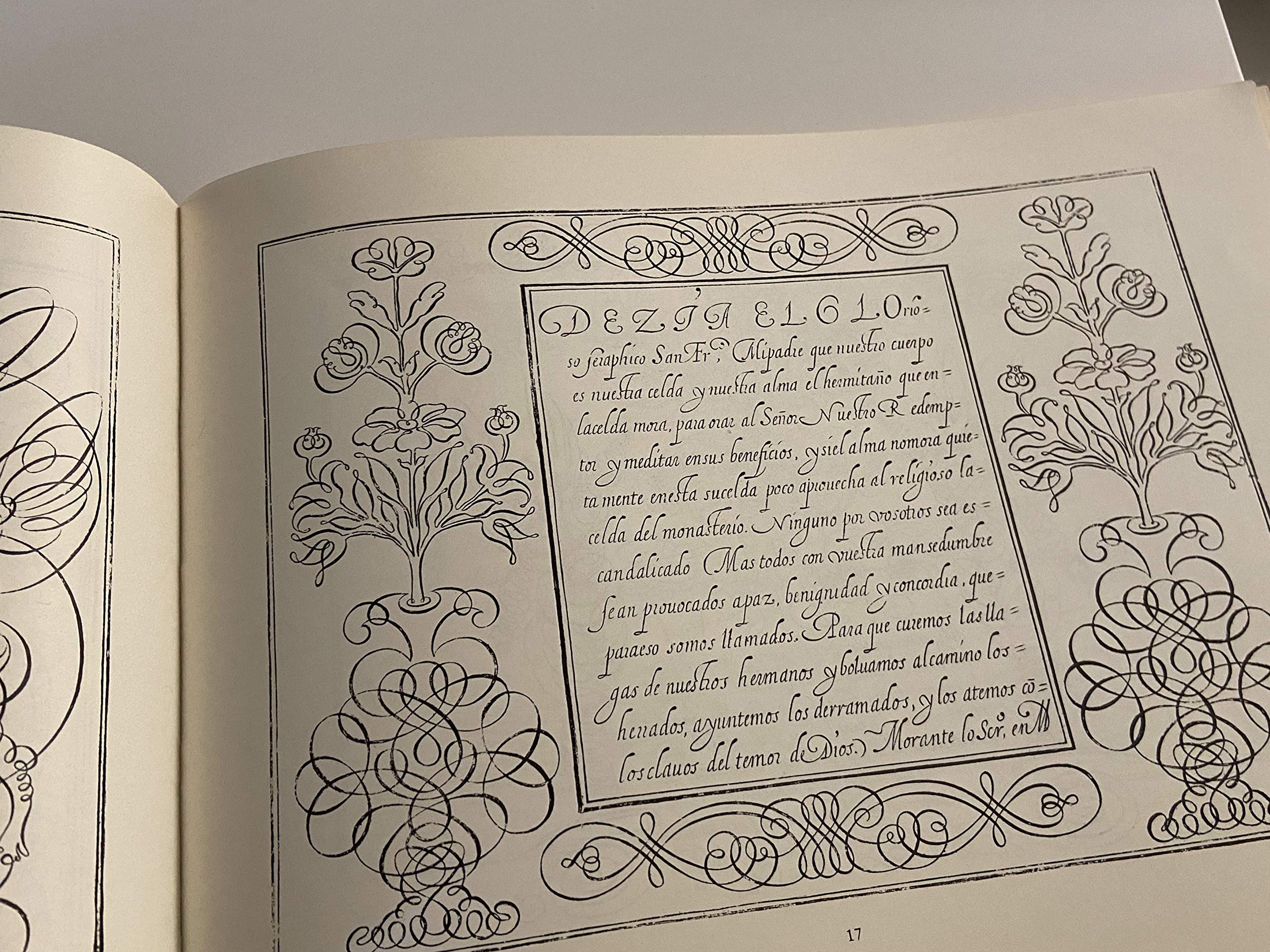 Pictorial Calligraphy and Ornamentation;,Used