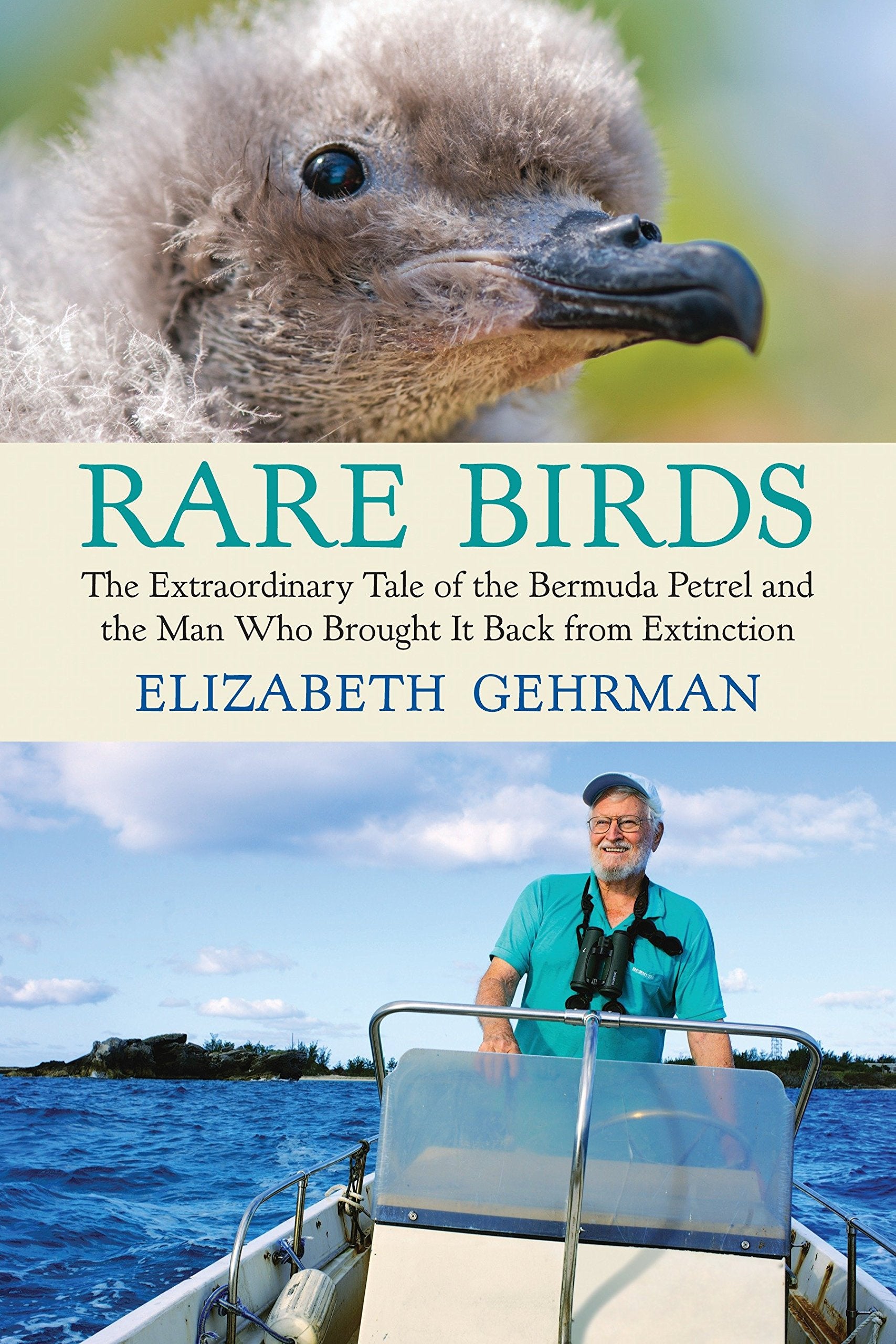 Rare Birds: The Extraordinary Tale Of The Bermuda Petrel And The Man Who Brought It Back From Extinction,Used