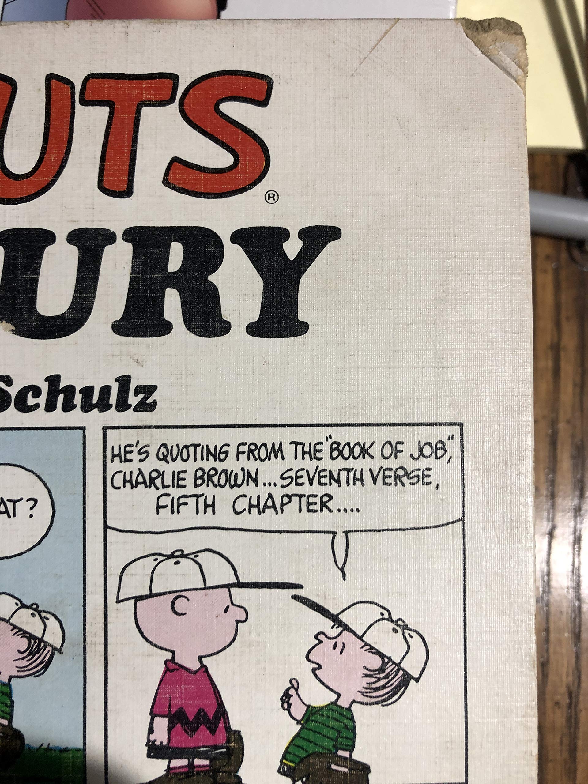 Peanuts Treasury,Used