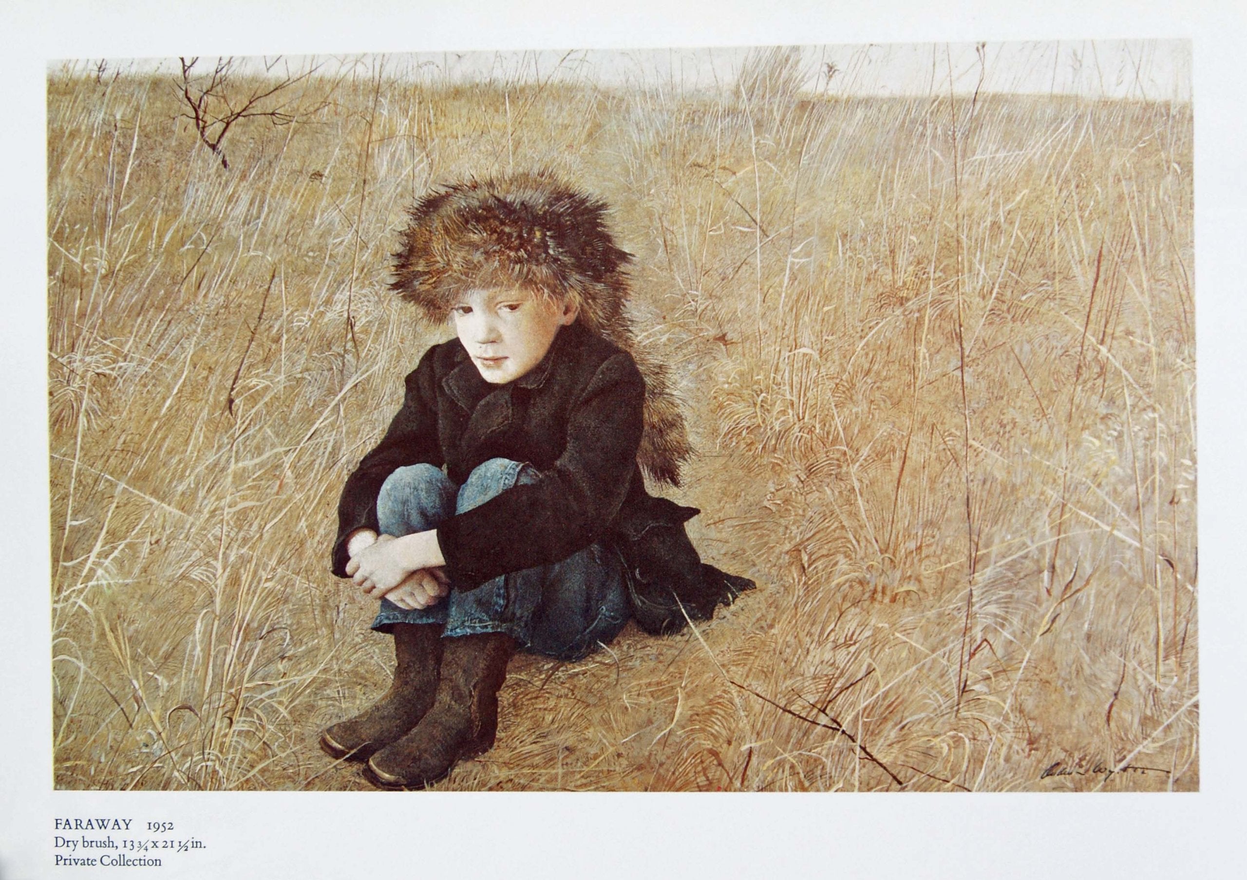 The Art Of Andrew Wyeth,Used