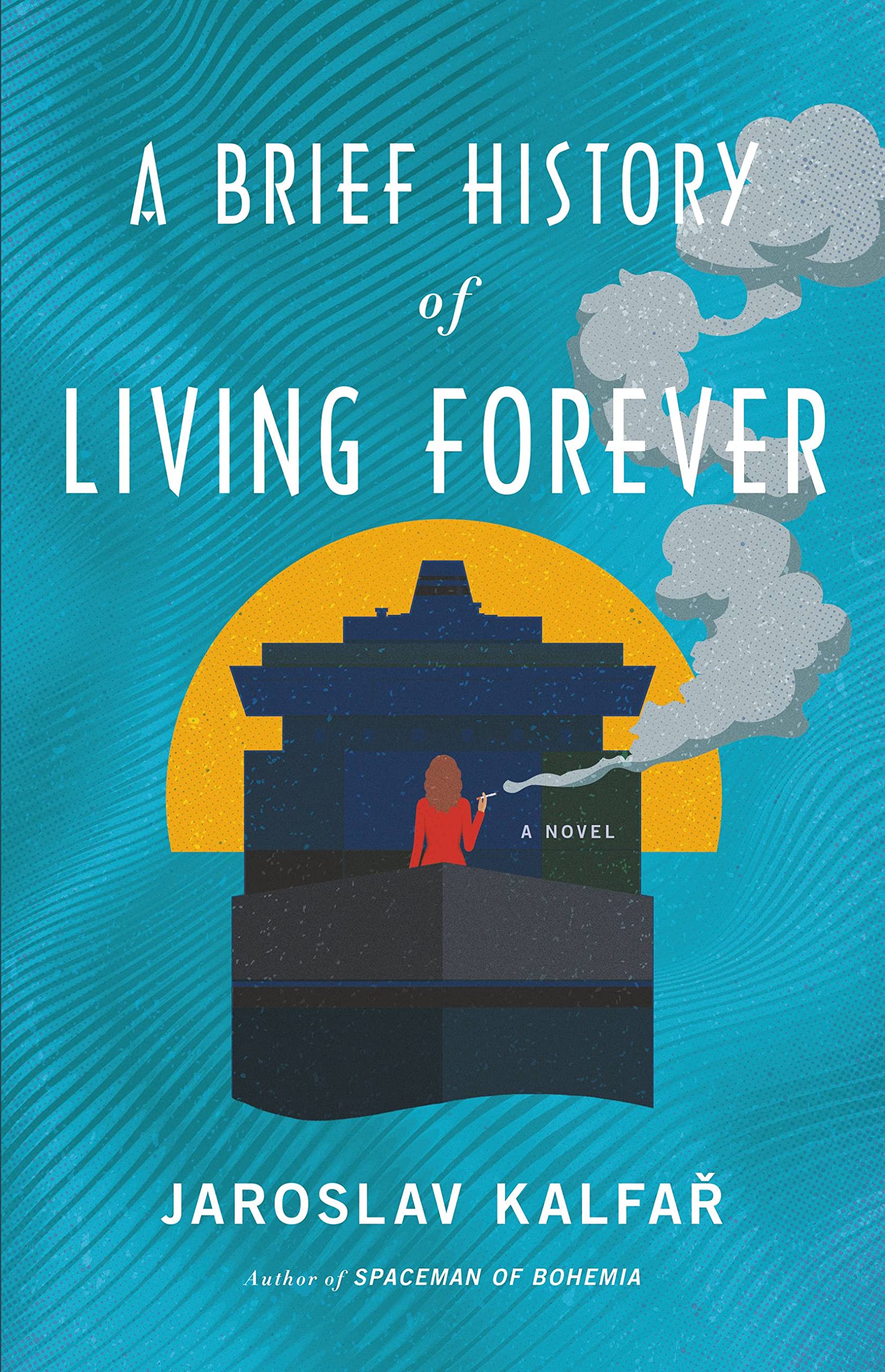 A Brief History of Living Forever: A Novel,Used